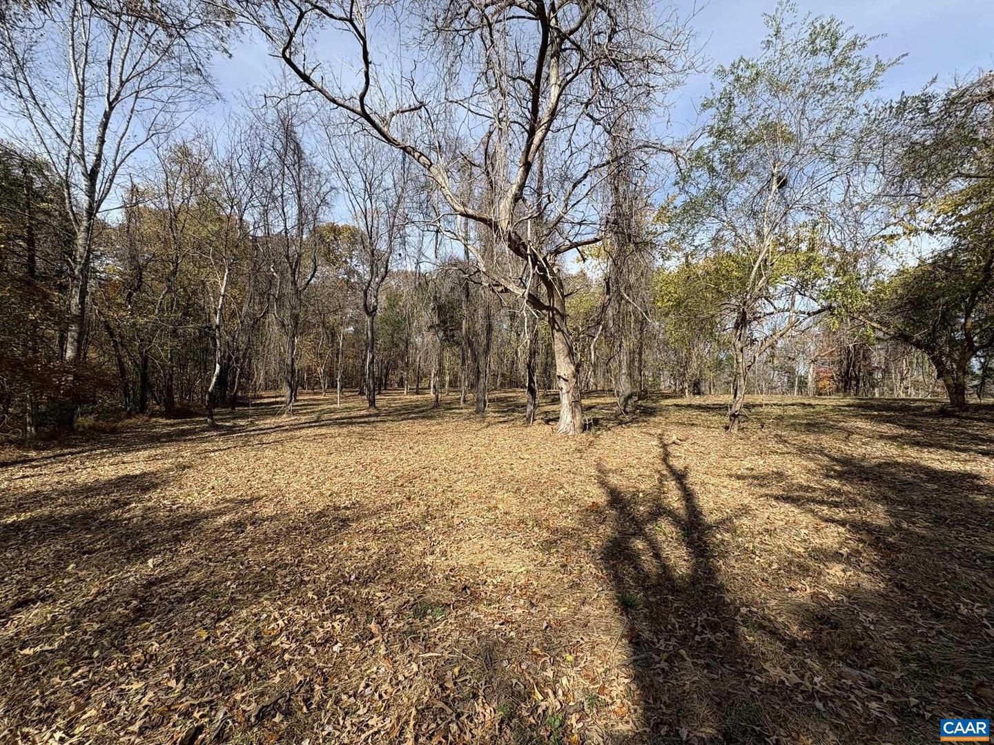 PARCEL A DULWICH DR, AMHERST, Virginia 24521, ,Land,For sale,PARCEL A DULWICH DR,670791 MLS # 670791