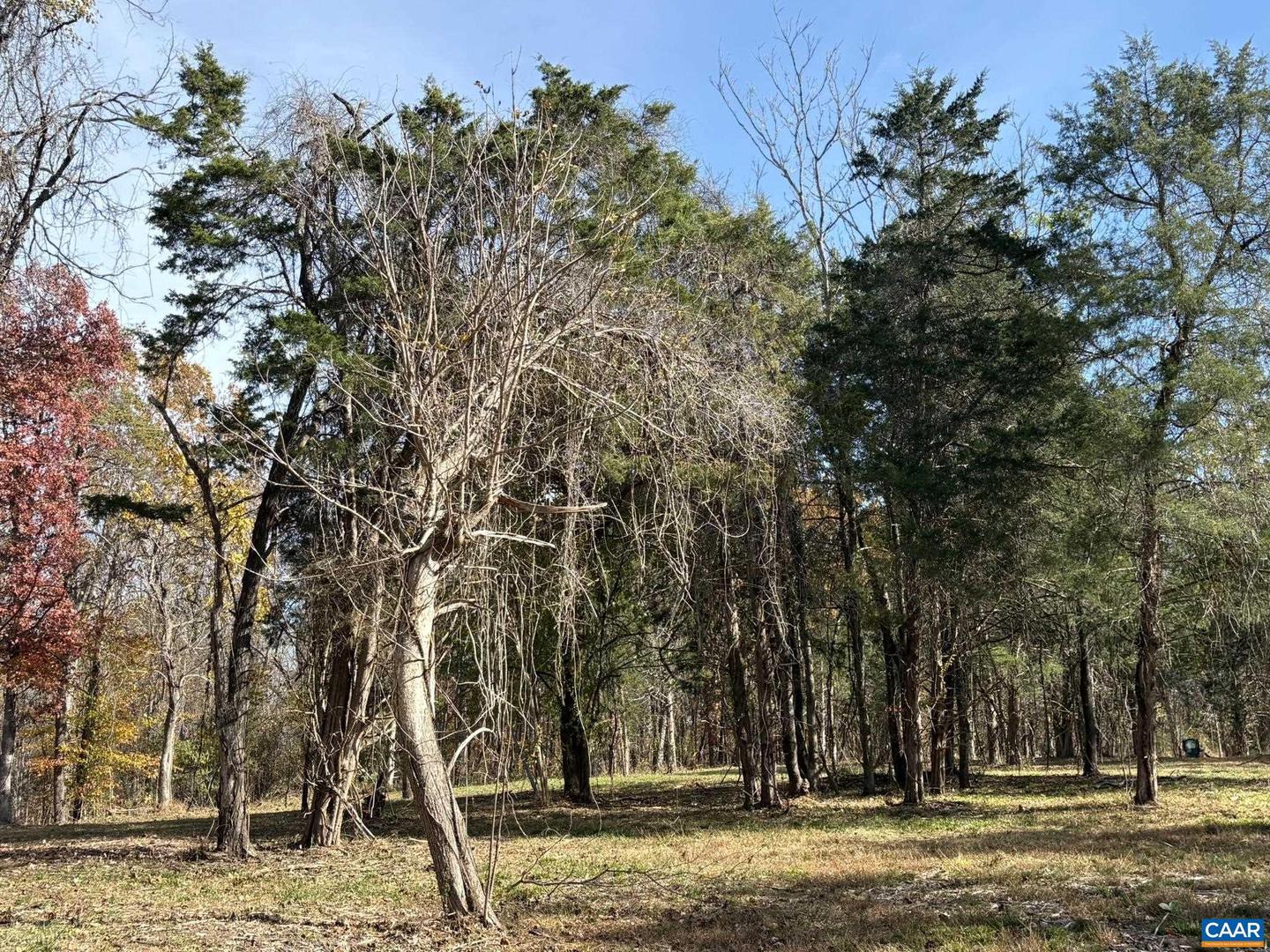 PARCEL A DULWICH DR, AMHERST, Virginia 24521, ,Land,For sale,PARCEL A DULWICH DR,670791 MLS # 670791