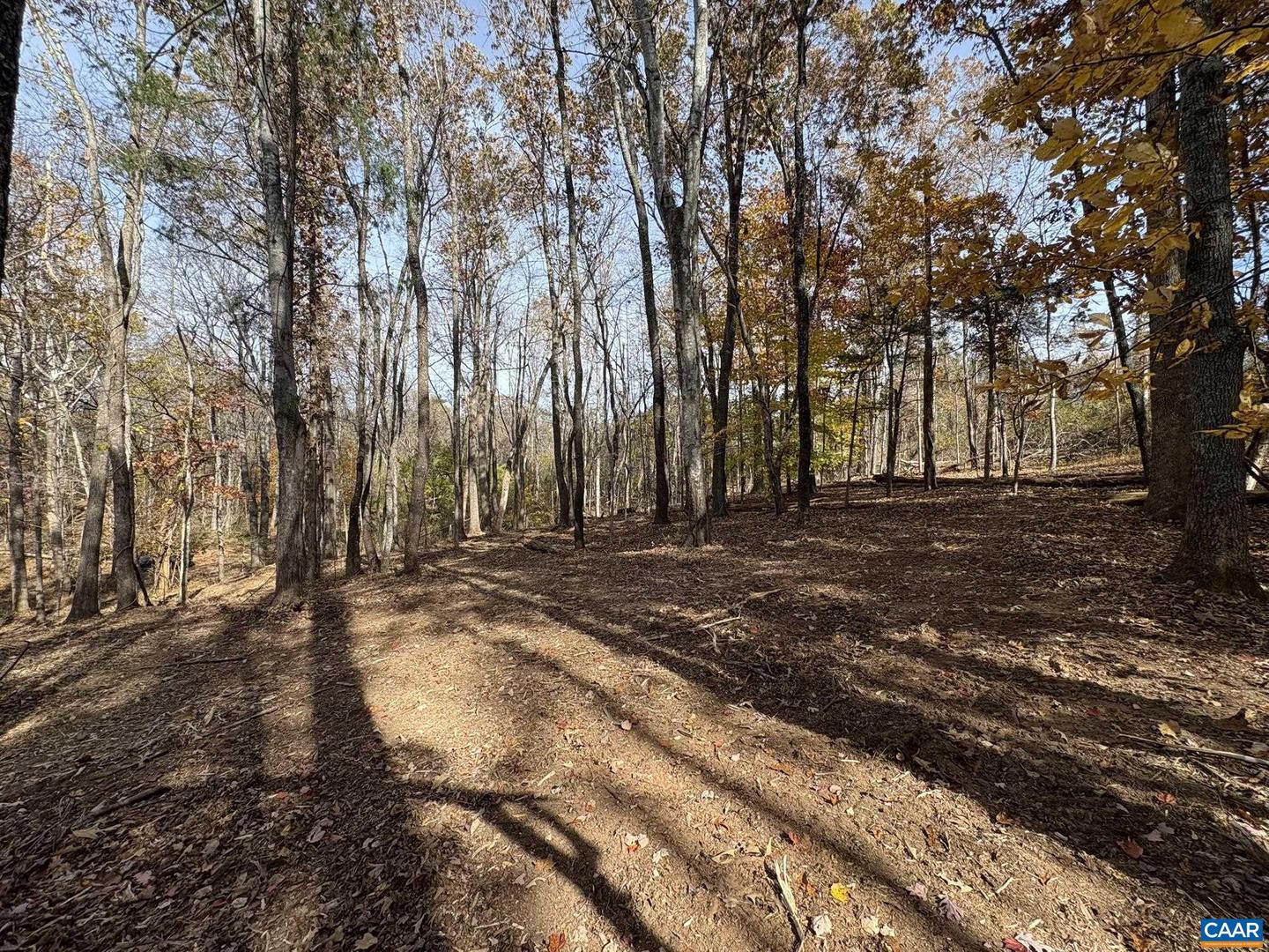 PARCEL A DULWICH DR, AMHERST, Virginia 24521, ,Land,For sale,PARCEL A DULWICH DR,670791 MLS # 670791