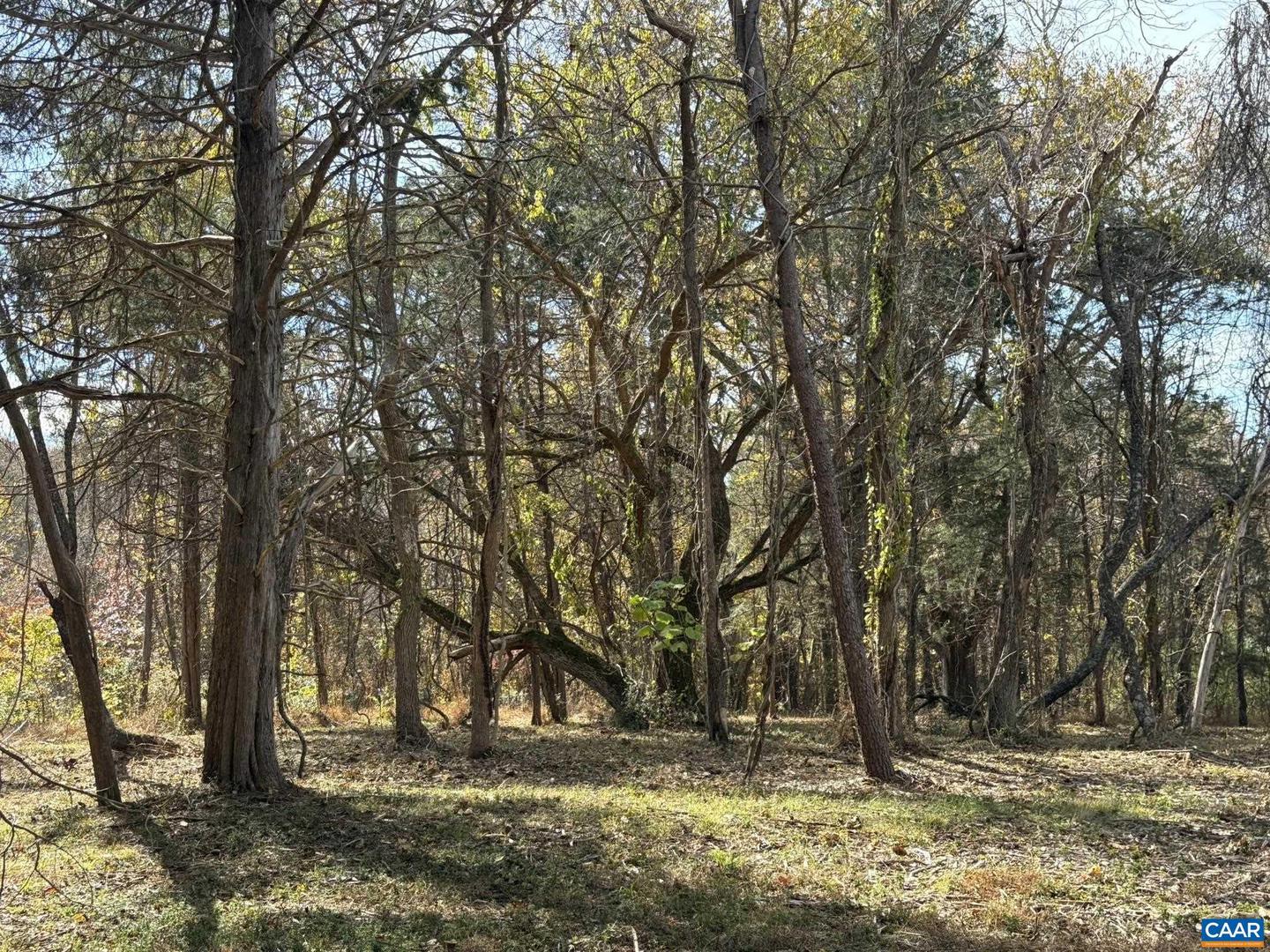 PARCEL A DULWICH DR, AMHERST, Virginia 24521, ,Land,For sale,PARCEL A DULWICH DR,670791 MLS # 670791