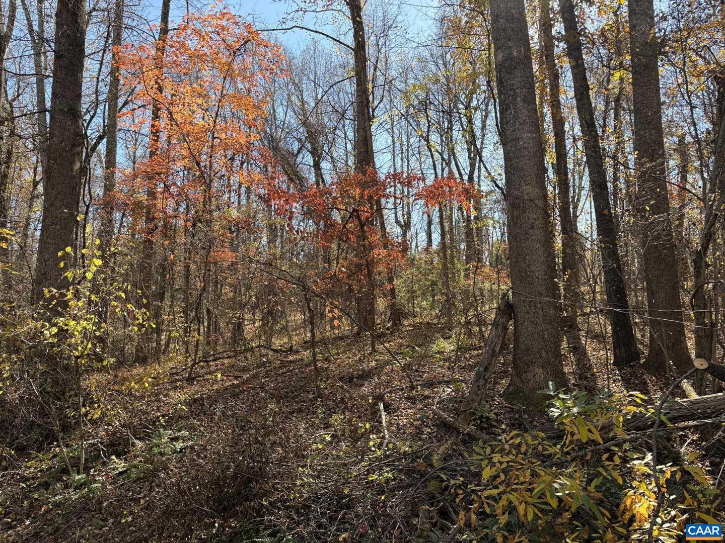 PARCEL E RICHMOND HWY, AMHERST, Virginia 24521, ,Land,For sale,PARCEL E RICHMOND HWY,670793 MLS # 670793