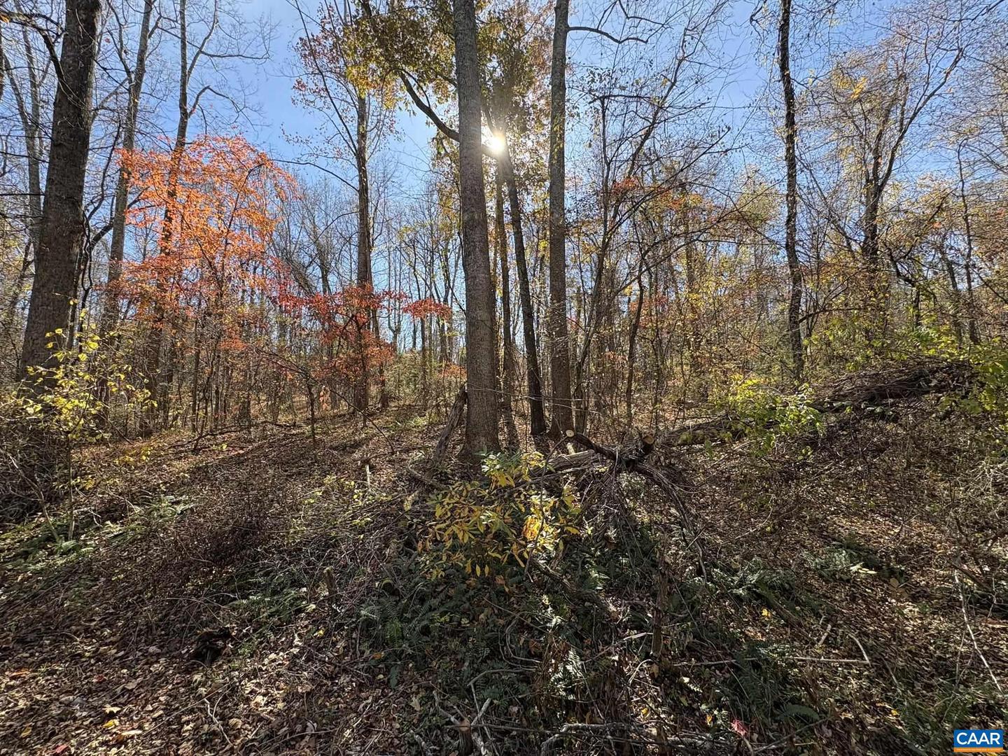 PARCEL E RICHMOND HWY, AMHERST, Virginia 24521, ,Land,For sale,PARCEL E RICHMOND HWY,670793 MLS # 670793