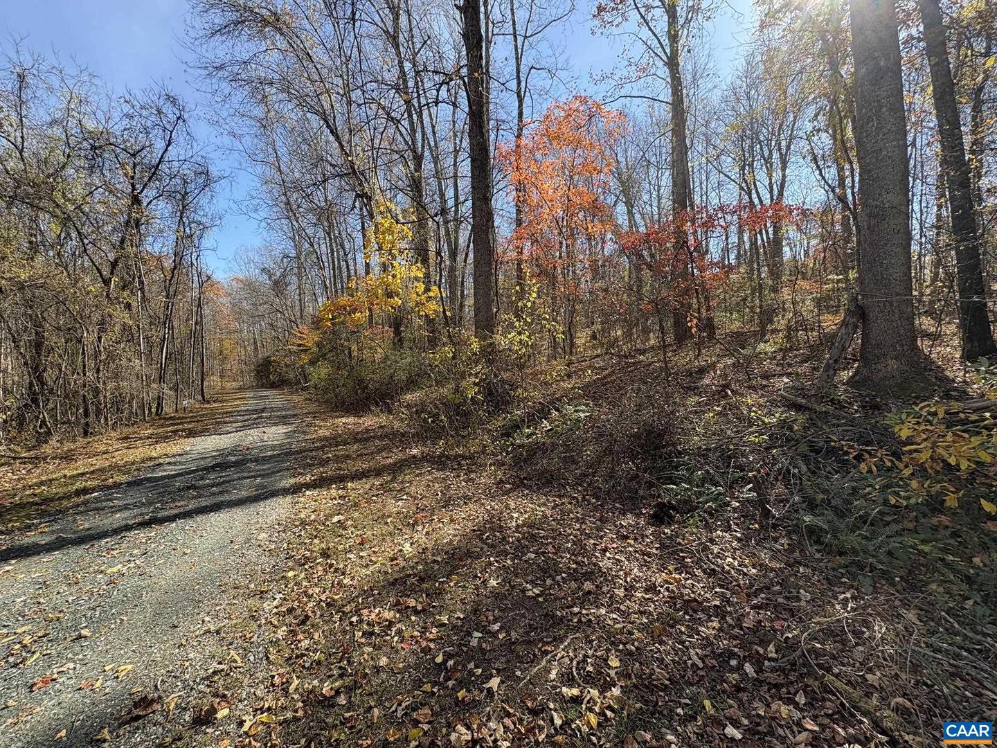 PARCEL E RICHMOND HWY, AMHERST, Virginia 24521, ,Land,For sale,PARCEL E RICHMOND HWY,670793 MLS # 670793