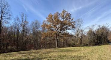 PARCEL E RICHMOND HWY, AMHERST, Virginia 24521, ,Land,For sale,PARCEL E RICHMOND HWY,670793 MLS # 670793