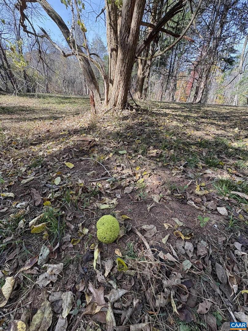 PARCEL B DULWICH DR #PARCEL B, AMHERST, Virginia 24521, ,Land,For sale,PARCEL B DULWICH DR #PARCEL B,670804 MLS # 670804