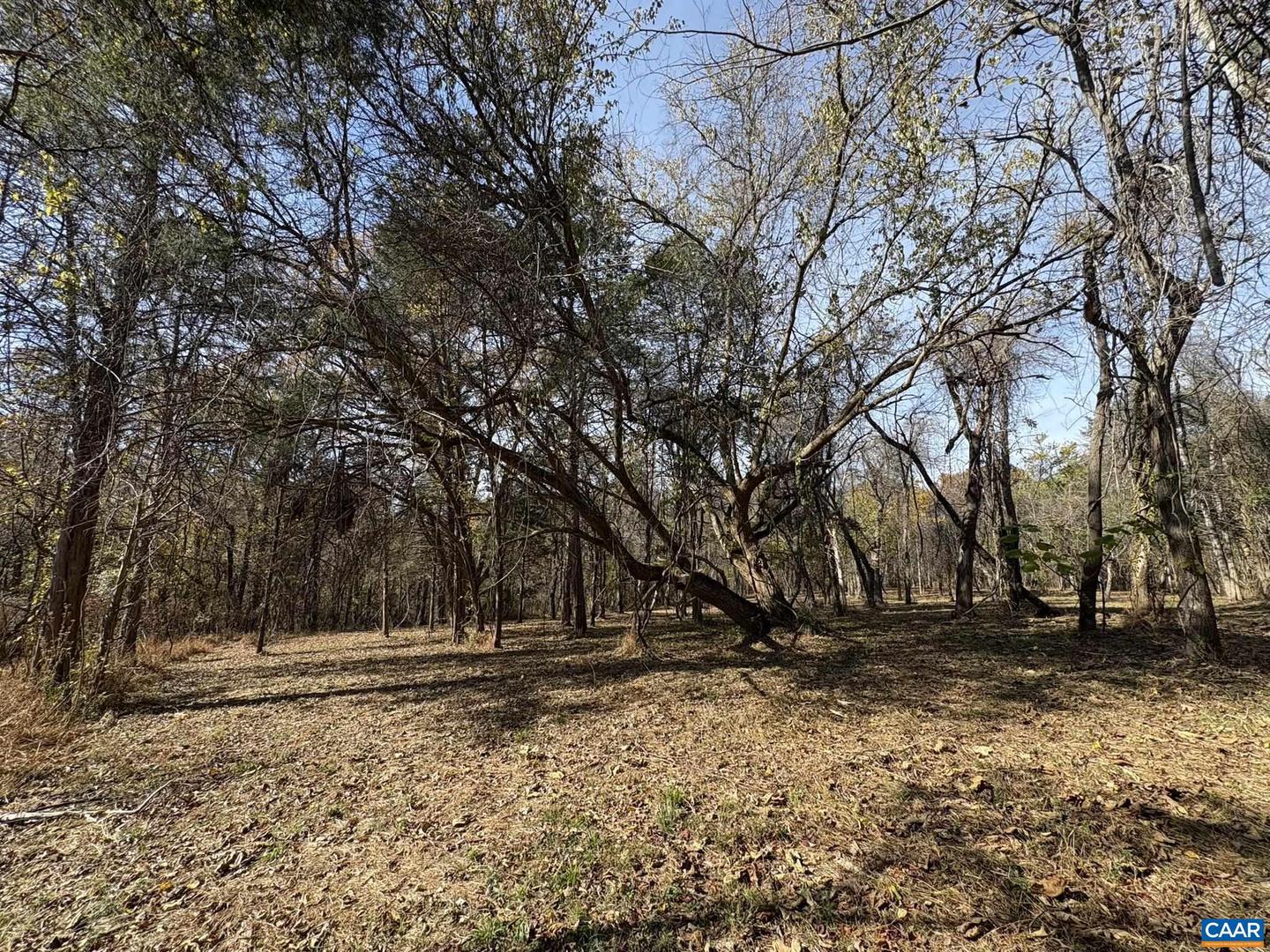 PARCEL B DULWICH DR #PARCEL B, AMHERST, Virginia 24521, ,Land,For sale,PARCEL B DULWICH DR #PARCEL B,670804 MLS # 670804