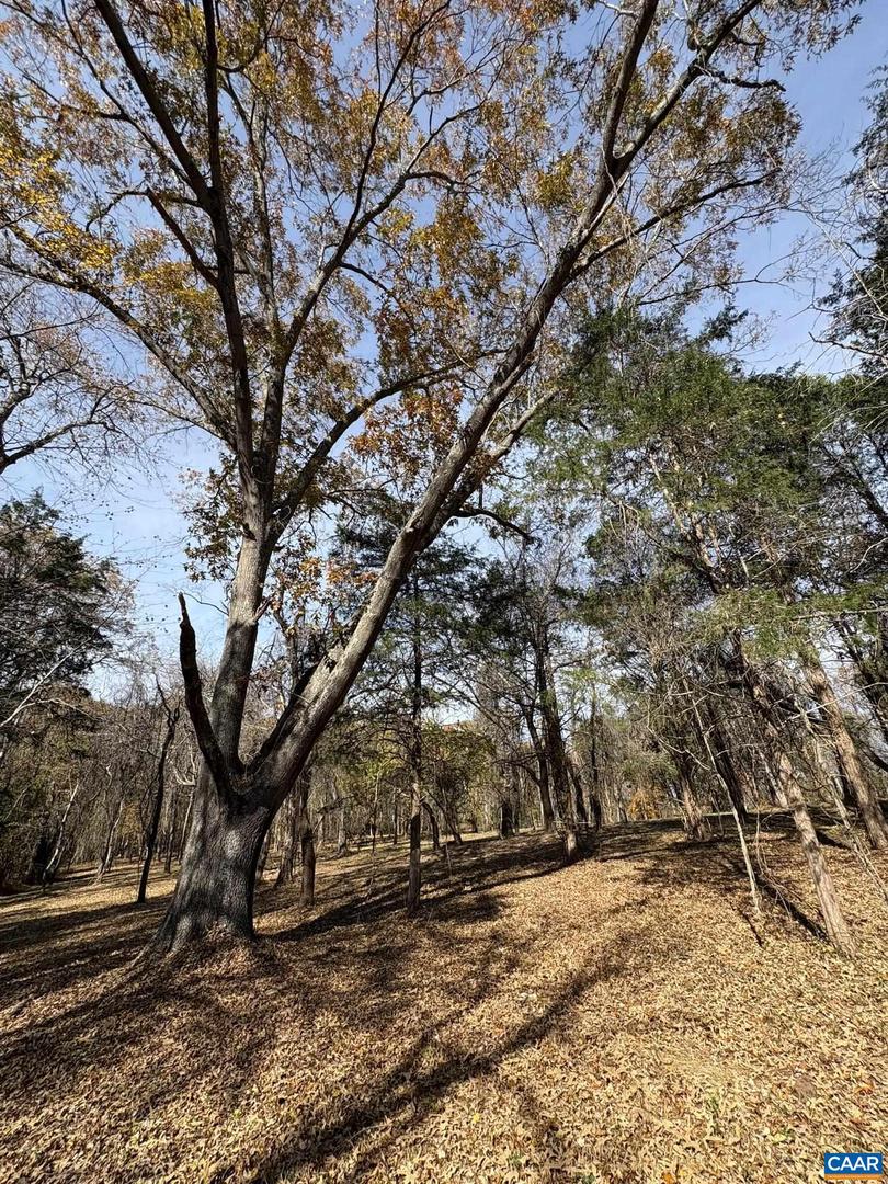 PARCEL B DULWICH DR #PARCEL B, AMHERST, Virginia 24521, ,Land,For sale,PARCEL B DULWICH DR #PARCEL B,670804 MLS # 670804