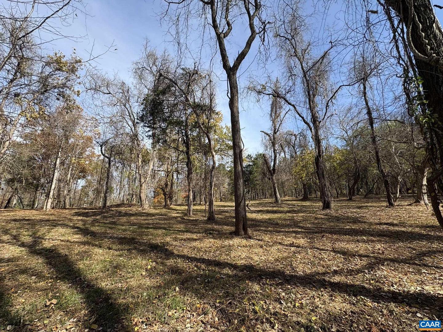 PARCEL B DULWICH DR #PARCEL B, AMHERST, Virginia 24521, ,Land,For sale,PARCEL B DULWICH DR #PARCEL B,670804 MLS # 670804