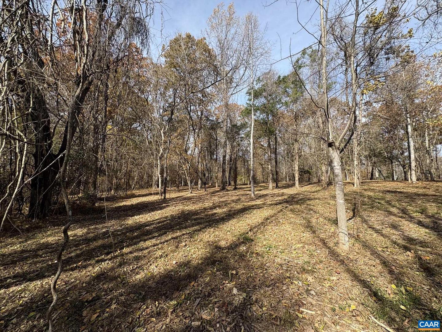 PARCEL B DULWICH DR #PARCEL B, AMHERST, Virginia 24521, ,Land,For sale,PARCEL B DULWICH DR #PARCEL B,670804 MLS # 670804