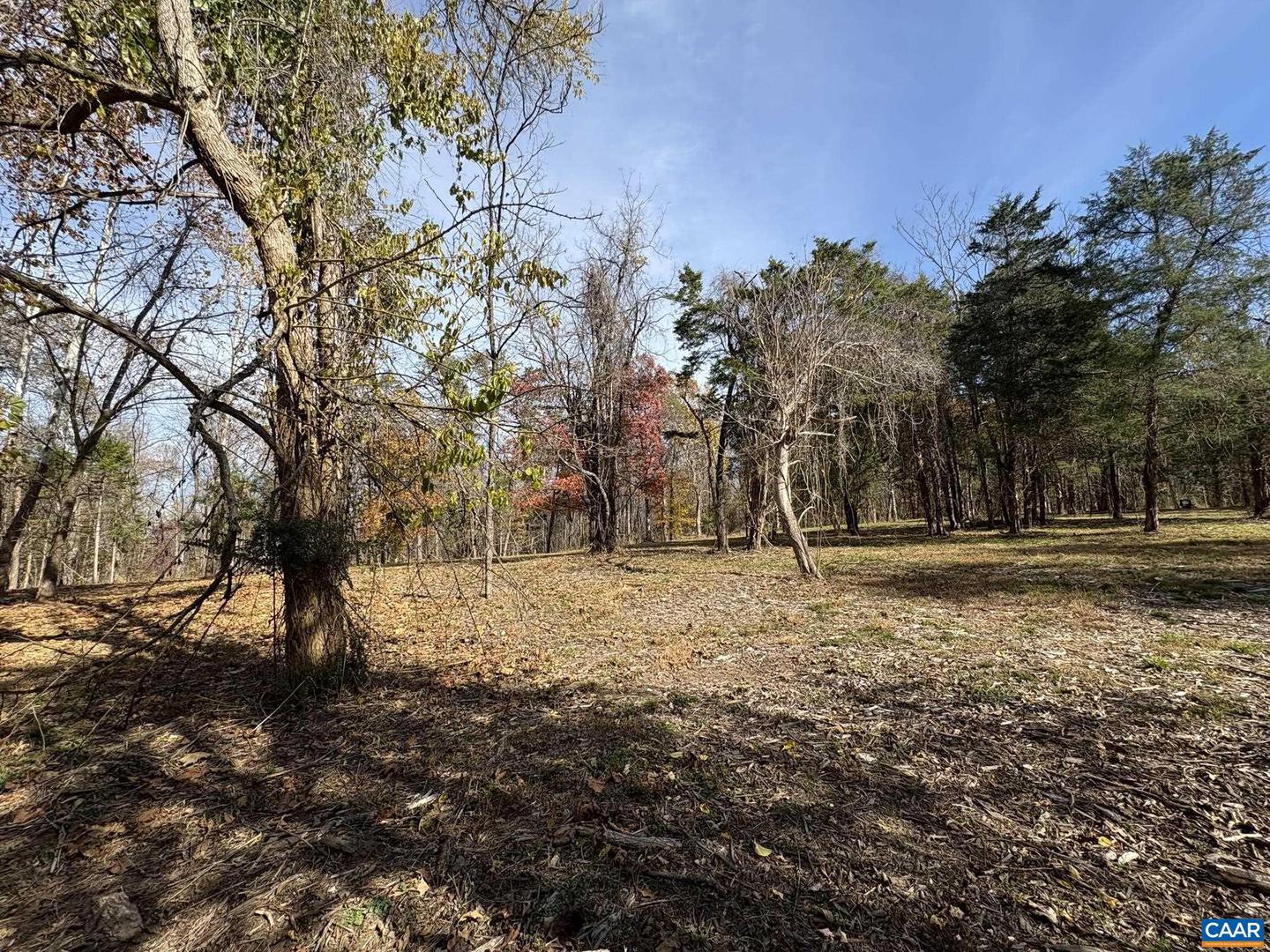 PARCEL B DULWICH DR #PARCEL B, AMHERST, Virginia 24521, ,Land,For sale,PARCEL B DULWICH DR #PARCEL B,670804 MLS # 670804