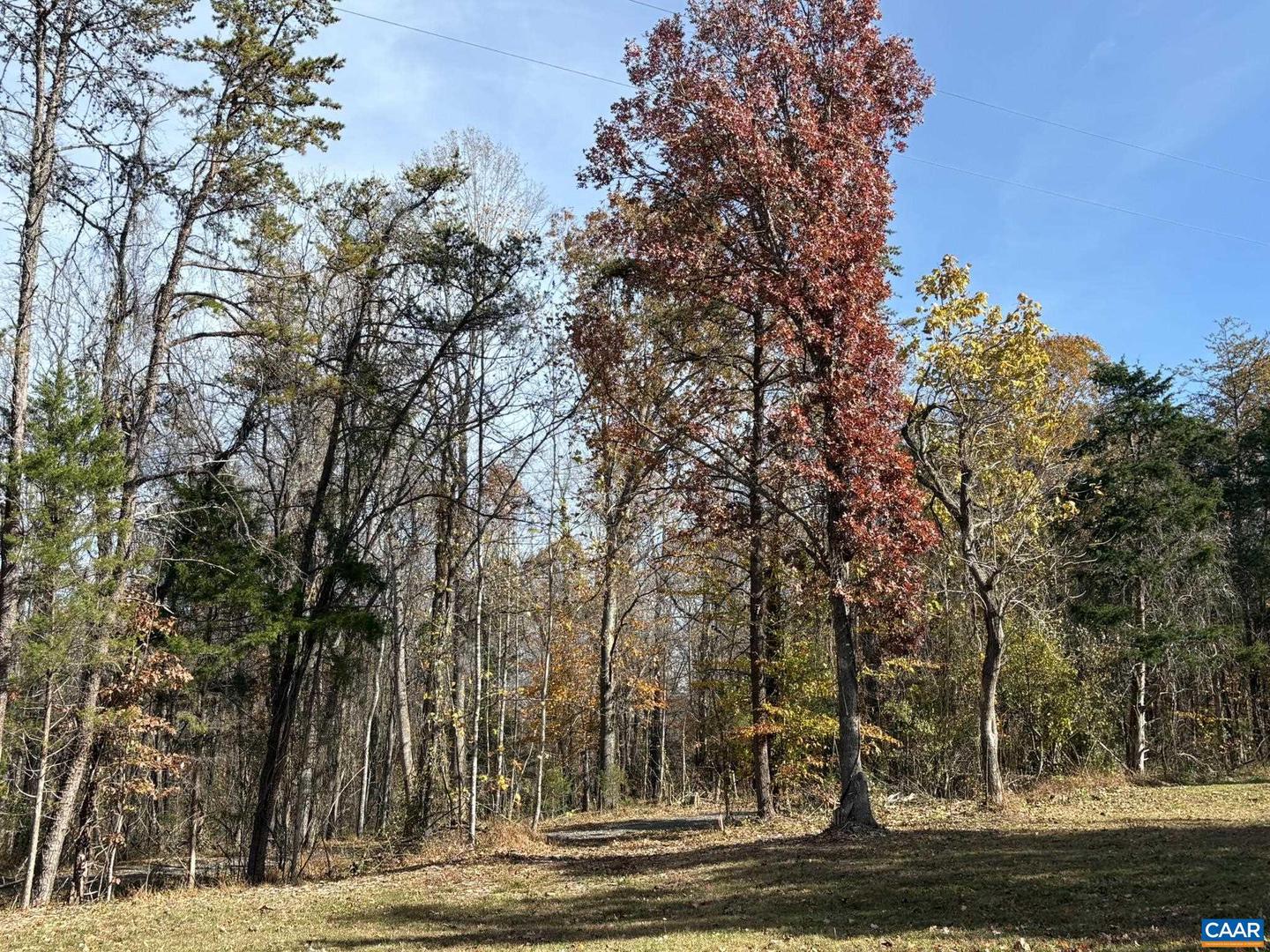 PARCEL B DULWICH DR #PARCEL B, AMHERST, Virginia 24521, ,Land,For sale,PARCEL B DULWICH DR #PARCEL B,670804 MLS # 670804