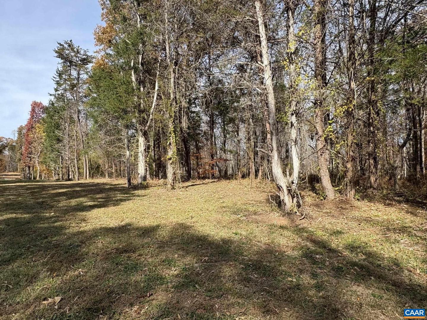 PARCEL B DULWICH DR #PARCEL B, AMHERST, Virginia 24521, ,Land,For sale,PARCEL B DULWICH DR #PARCEL B,670804 MLS # 670804