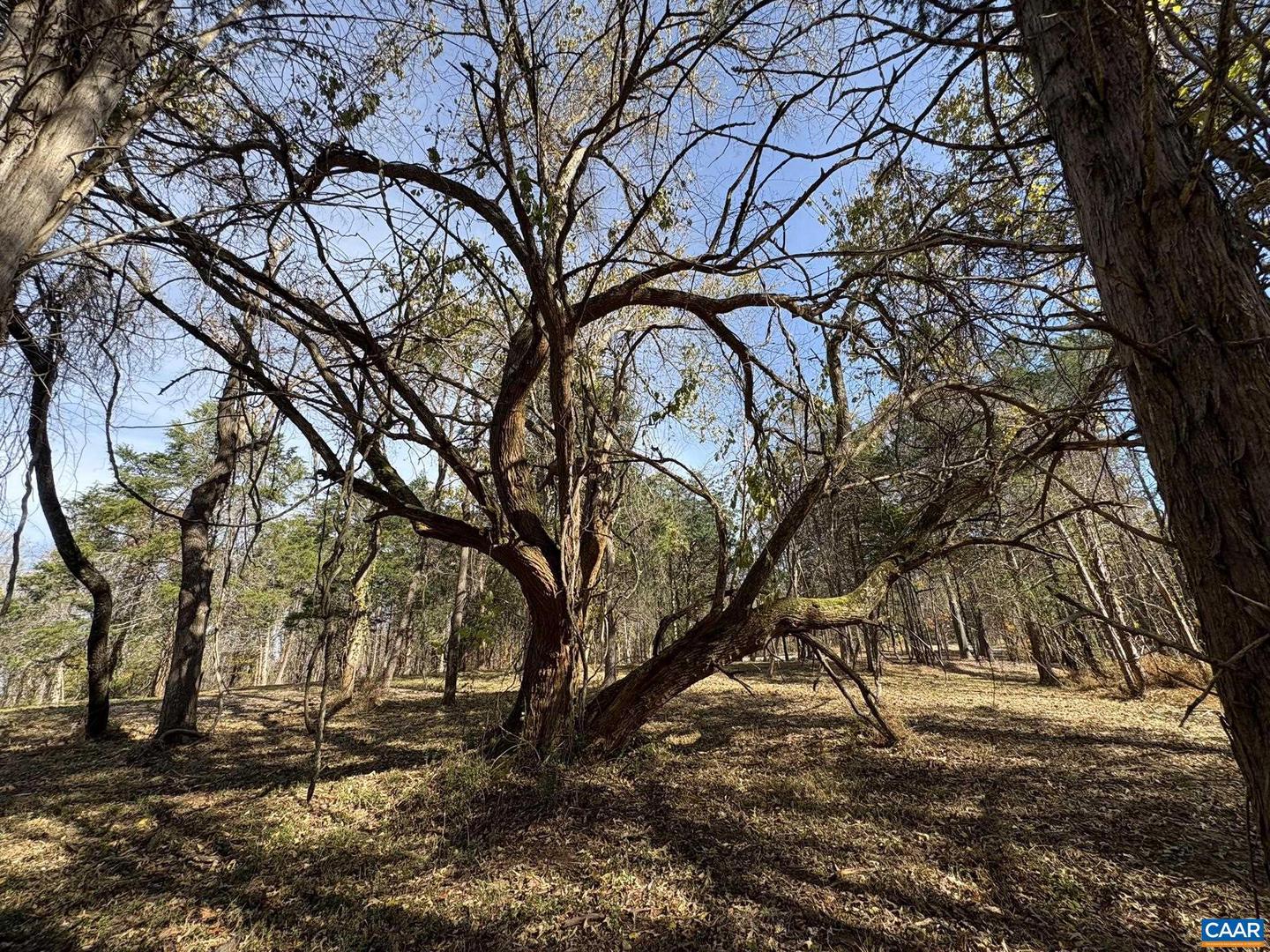 PARCEL B DULWICH DR #PARCEL B, AMHERST, Virginia 24521, ,Land,For sale,PARCEL B DULWICH DR #PARCEL B,670804 MLS # 670804