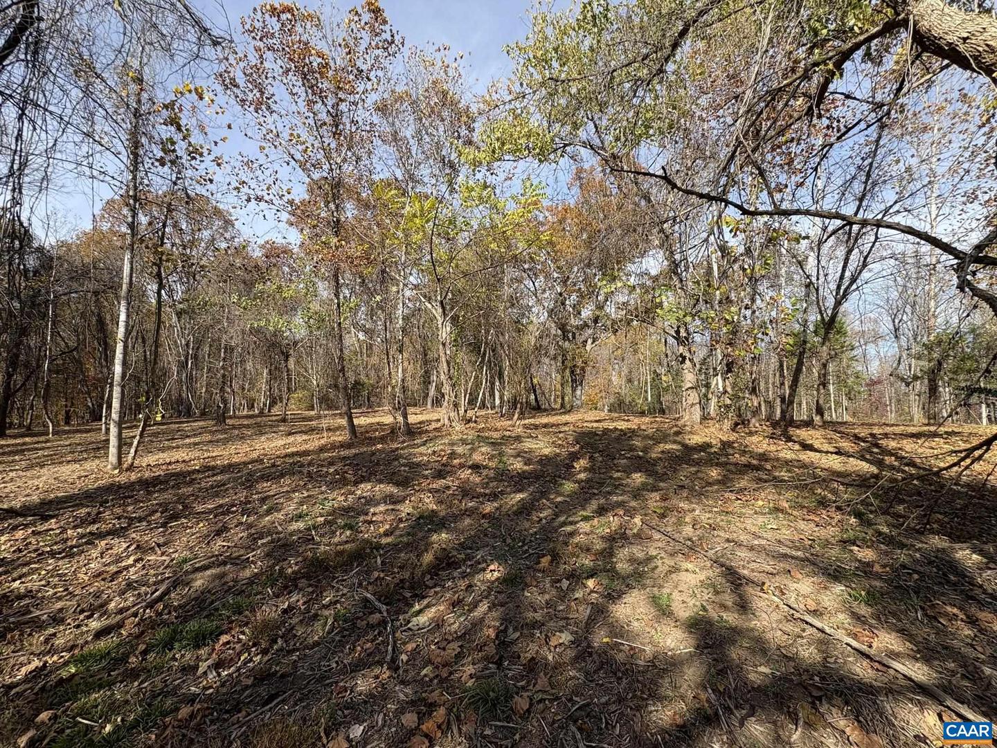 PARCEL B DULWICH DR #PARCEL B, AMHERST, Virginia 24521, ,Land,For sale,PARCEL B DULWICH DR #PARCEL B,670804 MLS # 670804