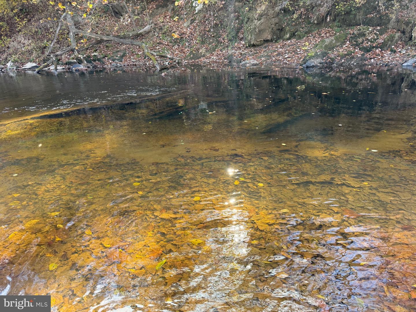 0 BRIDGEPORT RD, ARVONIA, Virginia 23004, ,Land,For sale,0 BRIDGEPORT RD,VABH2000236 MLS # VABH2000236 0 BRIDGEPORT RD, ARVONIA, Virginia 23004, ,Land,For sale,0 BRIDGEPORT RD,VABH2000236 MLS # VABH2000236