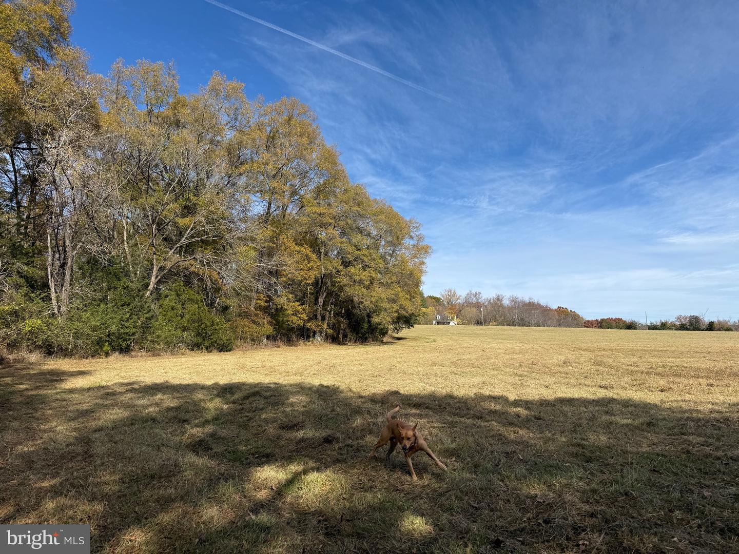 0 BRIDGEPORT RD, ARVONIA, Virginia 23004, ,Land,For sale,0 BRIDGEPORT RD,VABH2000236 MLS # VABH2000236 0 BRIDGEPORT RD, ARVONIA, Virginia 23004, ,Land,For sale,0 BRIDGEPORT RD,VABH2000236 MLS # VABH2000236