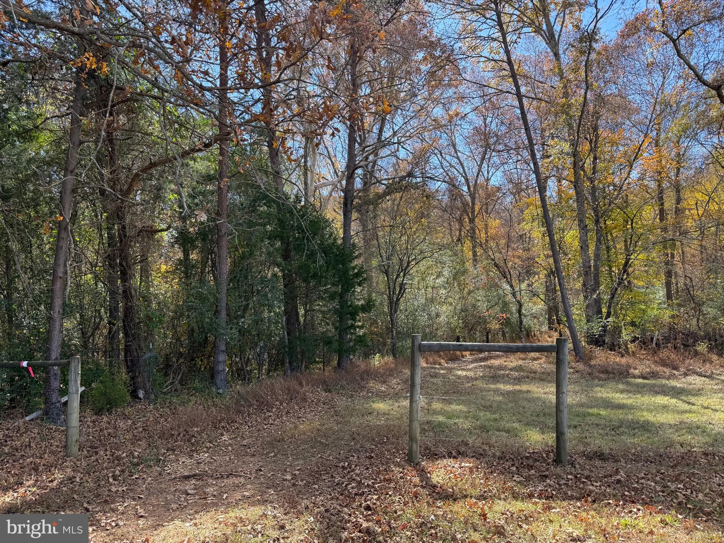 0 BRIDGEPORT RD, ARVONIA, Virginia 23004, ,Land,For sale,0 BRIDGEPORT RD,VABH2000236 MLS # VABH2000236 0 BRIDGEPORT RD, ARVONIA, Virginia 23004, ,Land,For sale,0 BRIDGEPORT RD,VABH2000236 MLS # VABH2000236