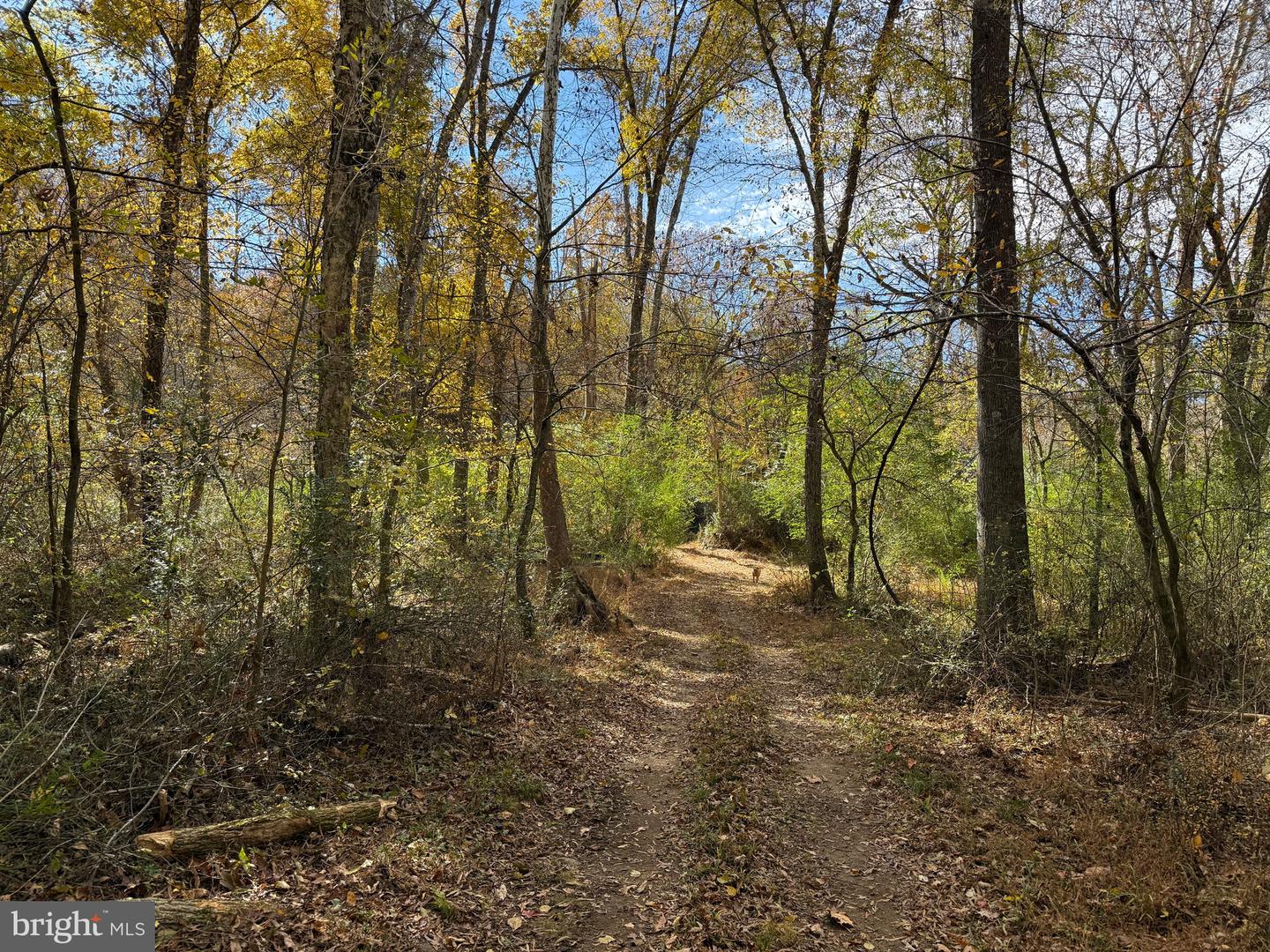 0 BRIDGEPORT RD, ARVONIA, Virginia 23004, ,Land,For sale,0 BRIDGEPORT RD,VABH2000236 MLS # VABH2000236 0 BRIDGEPORT RD, ARVONIA, Virginia 23004, ,Land,For sale,0 BRIDGEPORT RD,VABH2000236 MLS # VABH2000236