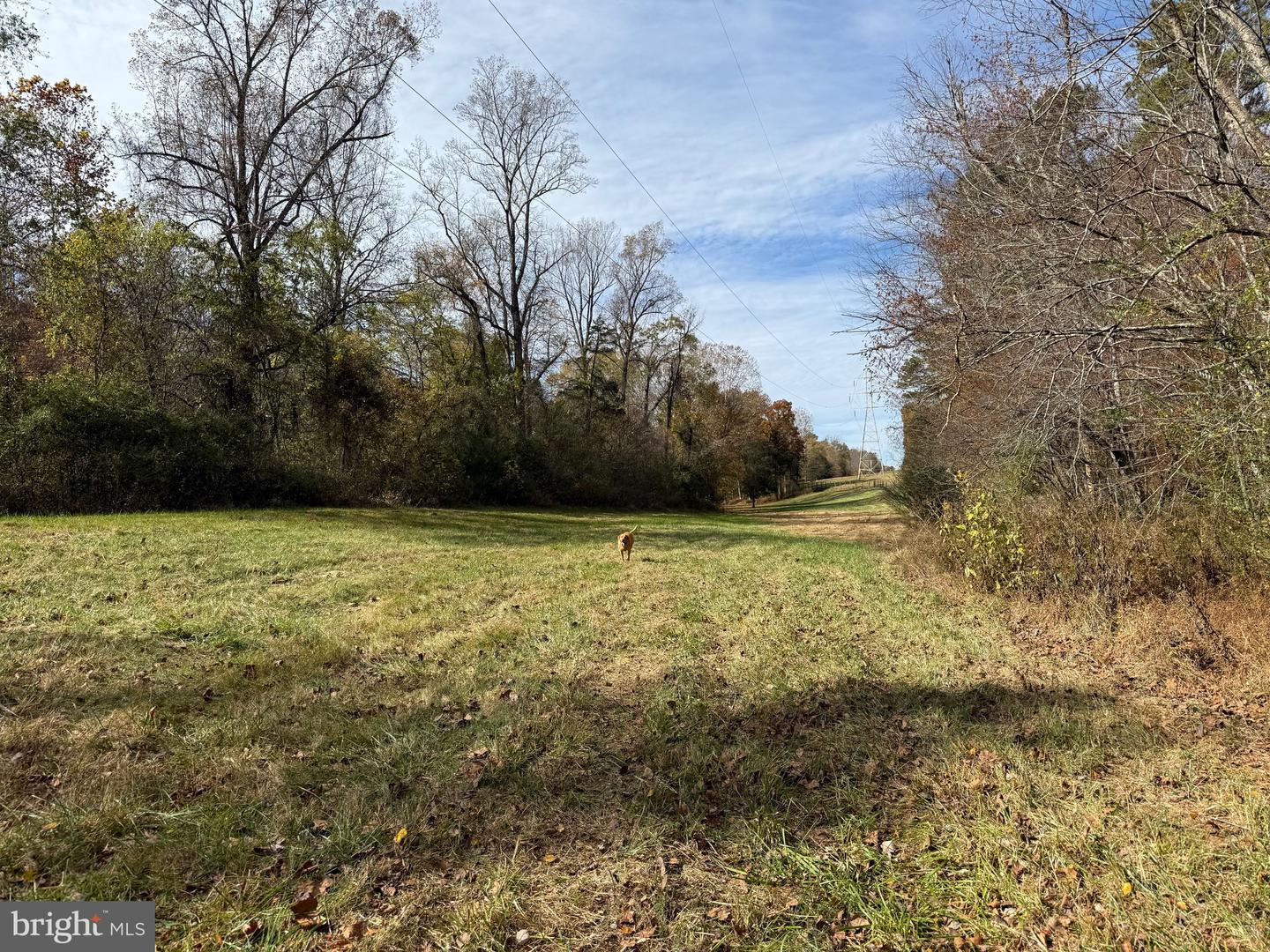 0 BRIDGEPORT RD, ARVONIA, Virginia 23004, ,Land,For sale,0 BRIDGEPORT RD,VABH2000236 MLS # VABH2000236 0 BRIDGEPORT RD, ARVONIA, Virginia 23004, ,Land,For sale,0 BRIDGEPORT RD,VABH2000236 MLS # VABH2000236