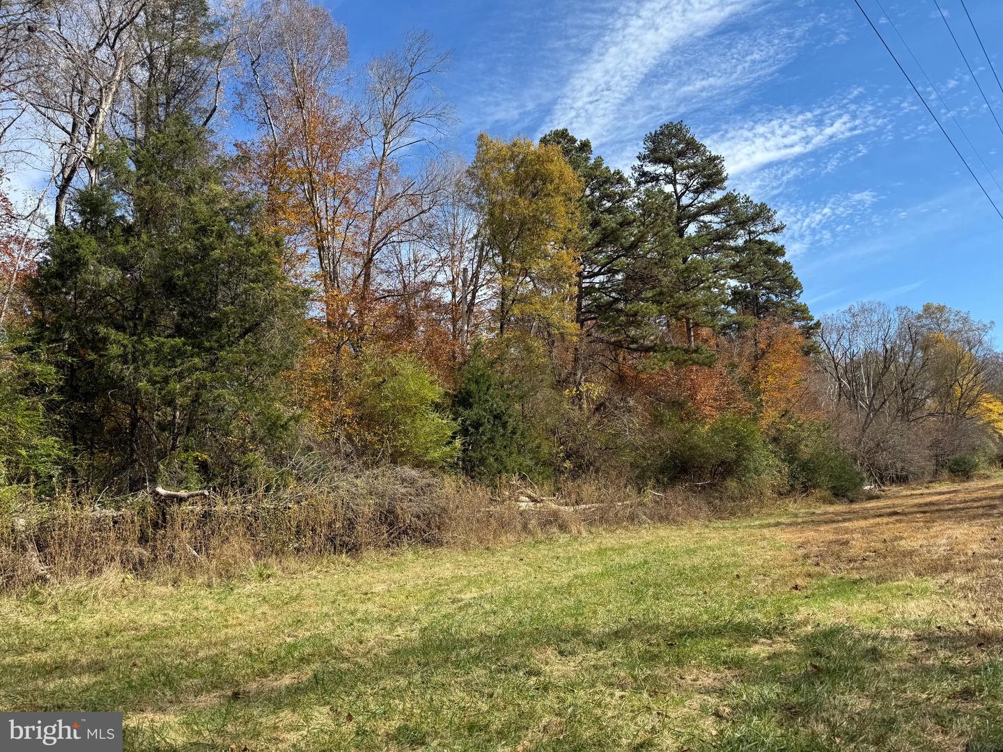 0 BRIDGEPORT RD, ARVONIA, Virginia 23004, ,Land,For sale,0 BRIDGEPORT RD,VABH2000236 MLS # VABH2000236 0 BRIDGEPORT RD, ARVONIA, Virginia 23004, ,Land,For sale,0 BRIDGEPORT RD,VABH2000236 MLS # VABH2000236