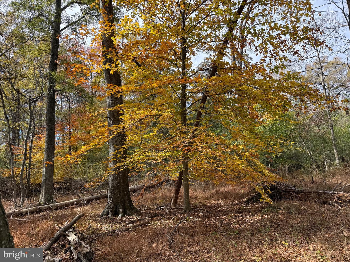 0 BRIDGEPORT RD, ARVONIA, Virginia 23004, ,Land,For sale,0 BRIDGEPORT RD,VABH2000236 MLS # VABH2000236 0 BRIDGEPORT RD, ARVONIA, Virginia 23004, ,Land,For sale,0 BRIDGEPORT RD,VABH2000236 MLS # VABH2000236