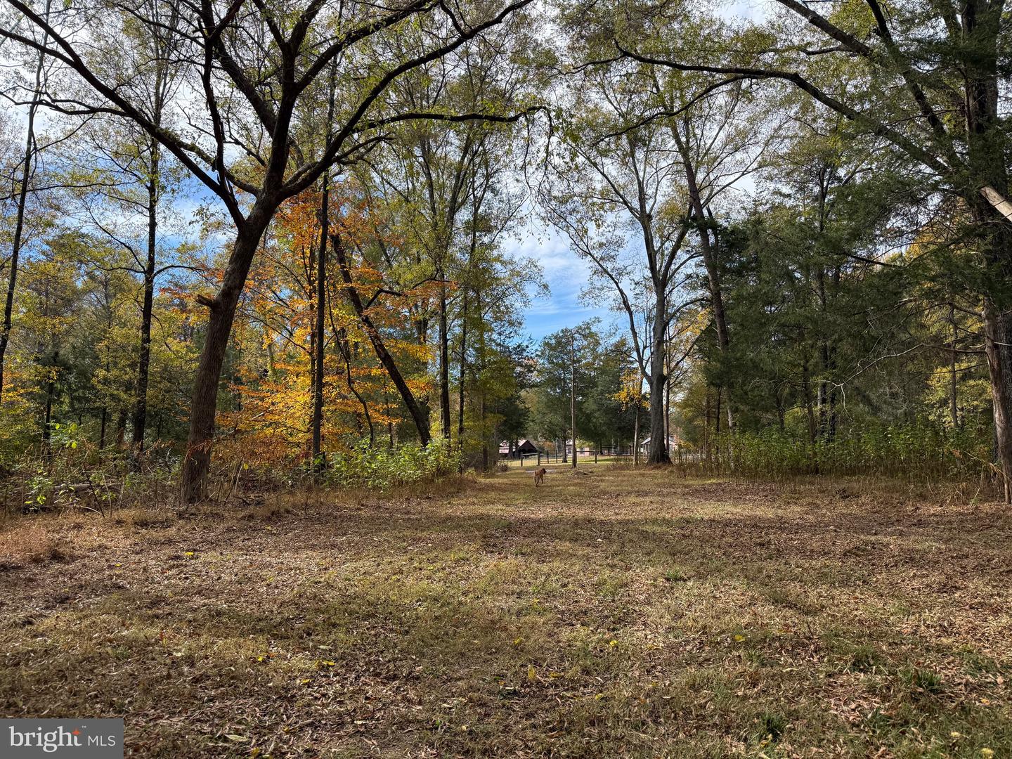 0 BRIDGEPORT RD, ARVONIA, Virginia 23004, ,Land,For sale,0 BRIDGEPORT RD,VABH2000236 MLS # VABH2000236 0 BRIDGEPORT RD, ARVONIA, Virginia 23004, ,Land,For sale,0 BRIDGEPORT RD,VABH2000236 MLS # VABH2000236