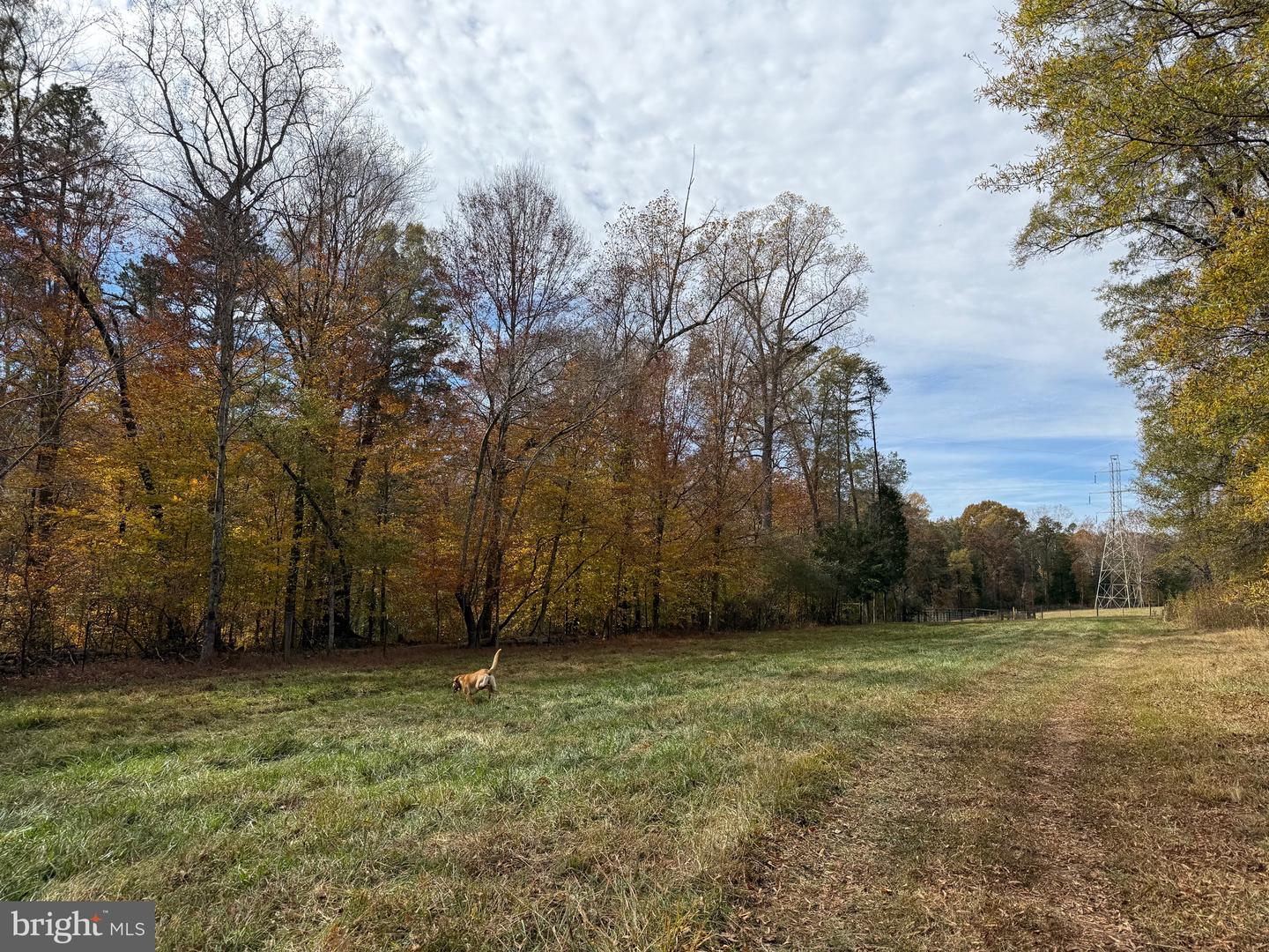 0 BRIDGEPORT RD, ARVONIA, Virginia 23004, ,Land,For sale,0 BRIDGEPORT RD,VABH2000236 MLS # VABH2000236 0 BRIDGEPORT RD, ARVONIA, Virginia 23004, ,Land,For sale,0 BRIDGEPORT RD,VABH2000236 MLS # VABH2000236