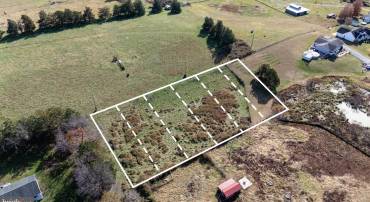 OFF SEVENTH ST., LURAY, Virginia 22835, ,Land,For sale,OFF SEVENTH ST.,VAPA2005576 MLS # VAPA2005576