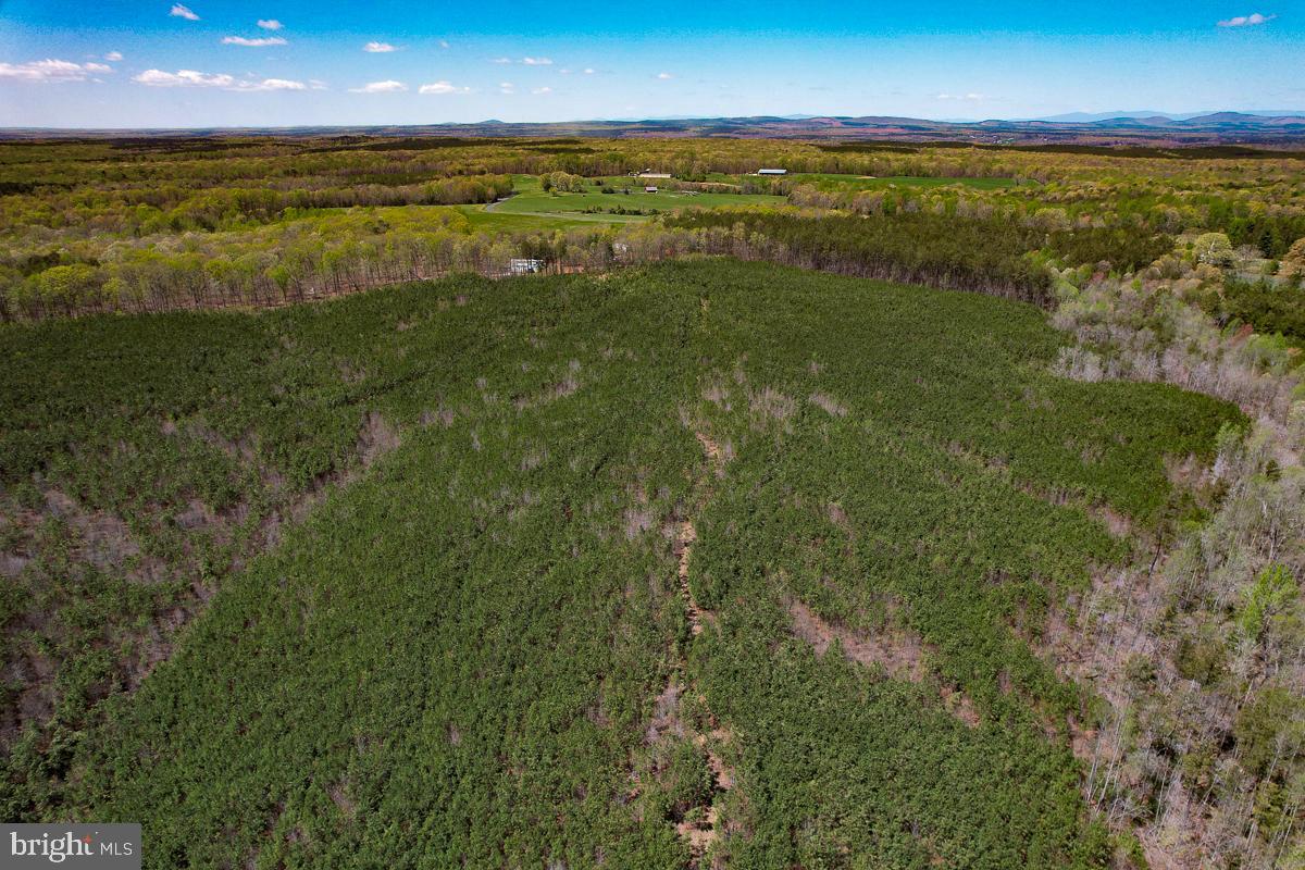 0 GILLIAM MILL RD, DILLWYN, Virginia 23936, ,Farm,For sale,0 GILLIAM MILL RD,VABH2000238 MLS # VABH2000238 0 GILLIAM MILL RD, DILLWYN, Virginia 23936, ,Farm,For sale,0 GILLIAM MILL RD,VABH2000238 MLS # VABH2000238