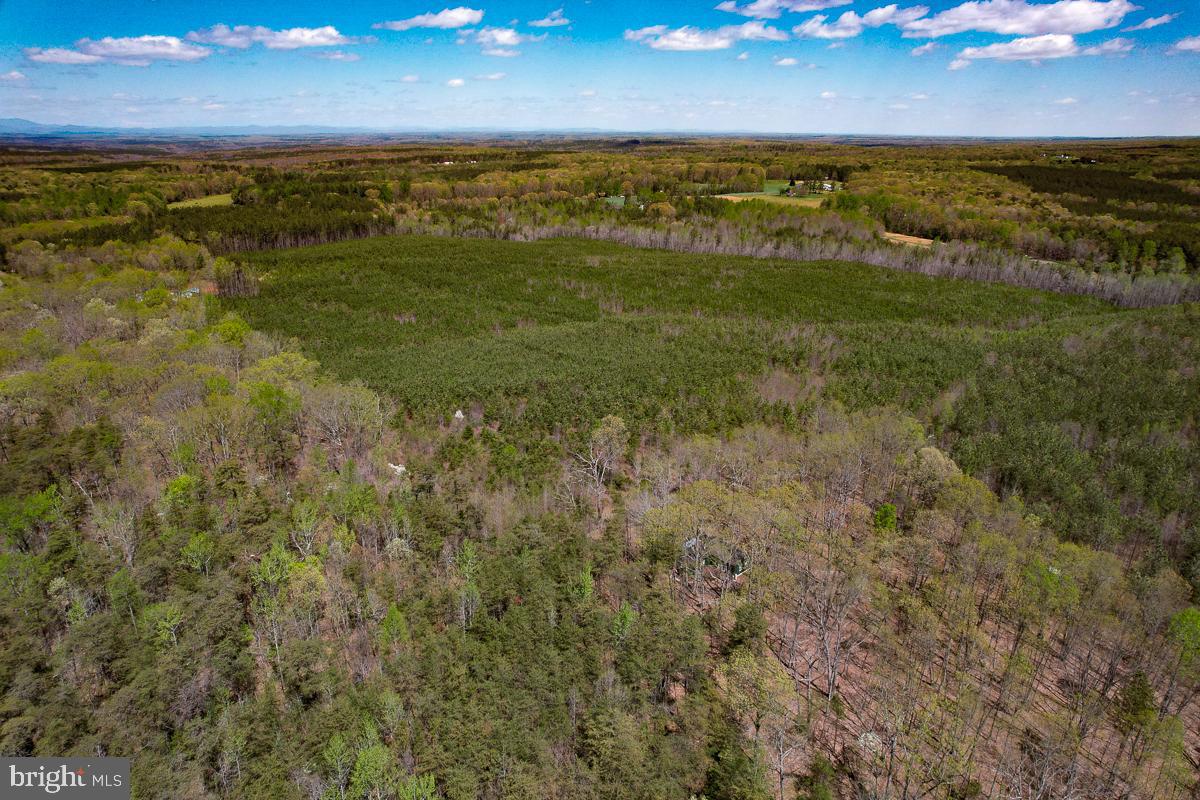 0 GILLIAM MILL RD, DILLWYN, Virginia 23936, ,Farm,For sale,0 GILLIAM MILL RD,VABH2000238 MLS # VABH2000238 0 GILLIAM MILL RD, DILLWYN, Virginia 23936, ,Farm,For sale,0 GILLIAM MILL RD,VABH2000238 MLS # VABH2000238