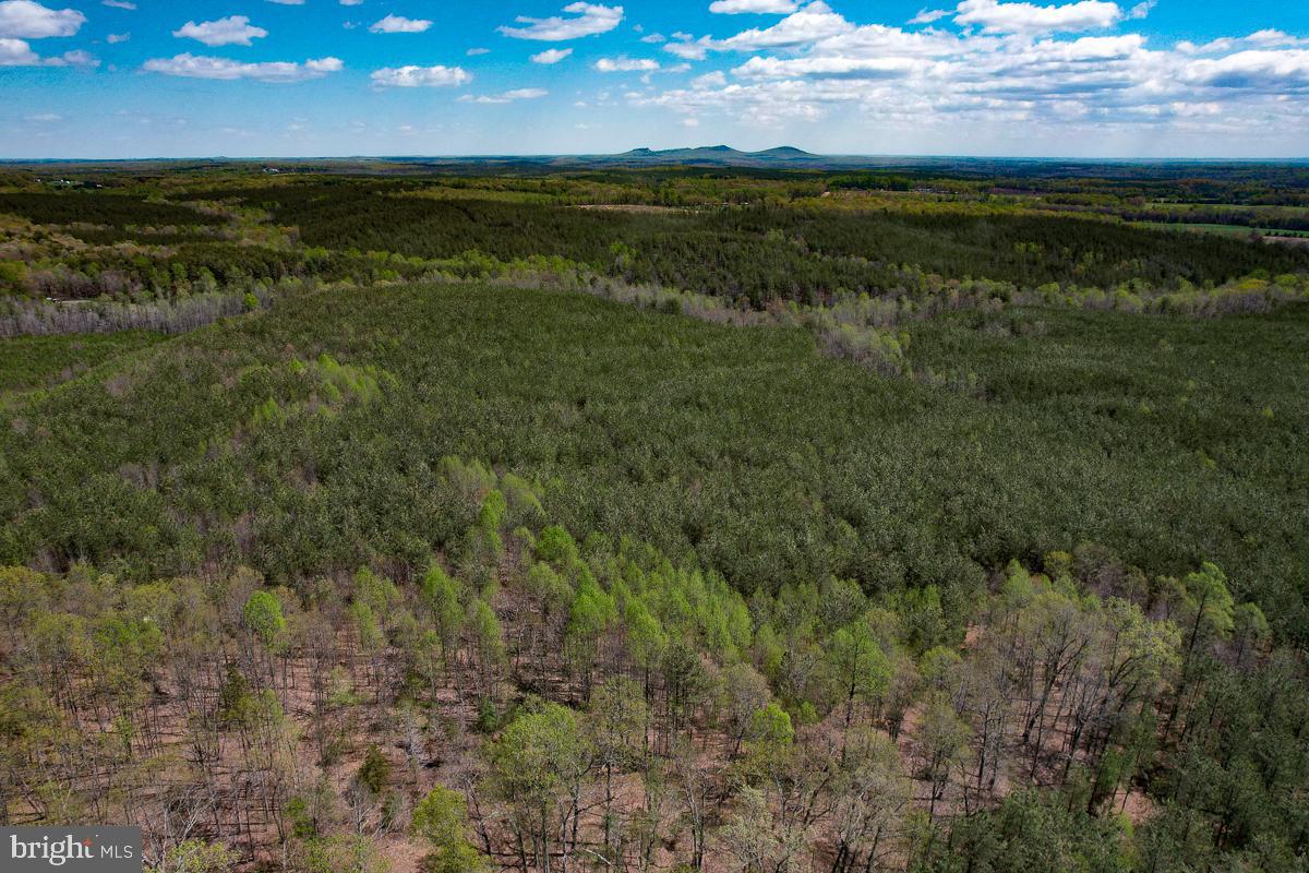 0 GILLIAM MILL RD, DILLWYN, Virginia 23936, ,Farm,For sale,0 GILLIAM MILL RD,VABH2000238 MLS # VABH2000238 0 GILLIAM MILL RD, DILLWYN, Virginia 23936, ,Farm,For sale,0 GILLIAM MILL RD,VABH2000238 MLS # VABH2000238