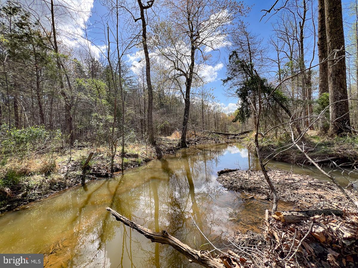 0 GILLIAM MILL RD, DILLWYN, Virginia 23936, ,Farm,For sale,0 GILLIAM MILL RD,VABH2000238 MLS # VABH2000238 0 GILLIAM MILL RD, DILLWYN, Virginia 23936, ,Farm,For sale,0 GILLIAM MILL RD,VABH2000238 MLS # VABH2000238