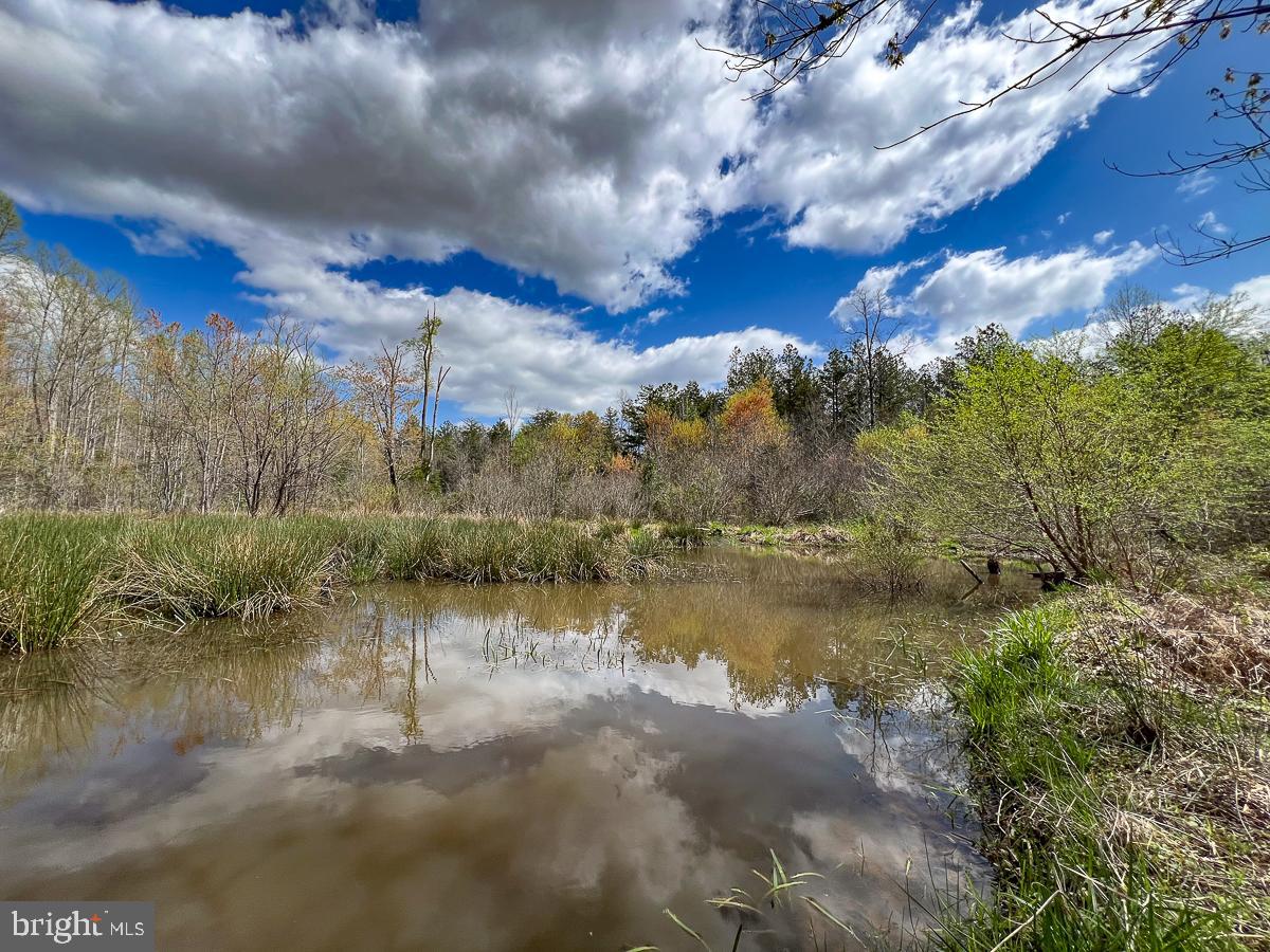 0 GILLIAM MILL RD, DILLWYN, Virginia 23936, ,Farm,For sale,0 GILLIAM MILL RD,VABH2000238 MLS # VABH2000238 0 GILLIAM MILL RD, DILLWYN, Virginia 23936, ,Farm,For sale,0 GILLIAM MILL RD,VABH2000238 MLS # VABH2000238