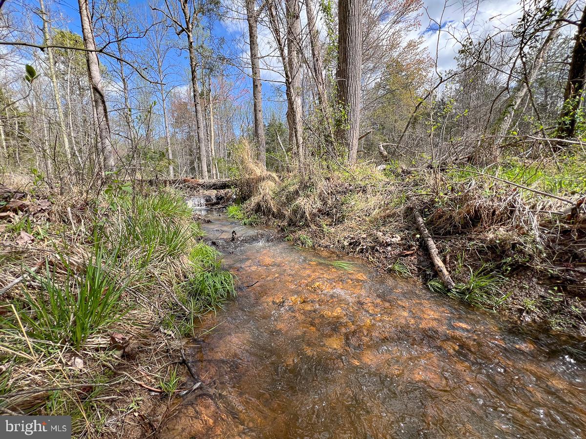 0 GILLIAM MILL RD, DILLWYN, Virginia 23936, ,Farm,For sale,0 GILLIAM MILL RD,VABH2000238 MLS # VABH2000238 0 GILLIAM MILL RD, DILLWYN, Virginia 23936, ,Farm,For sale,0 GILLIAM MILL RD,VABH2000238 MLS # VABH2000238