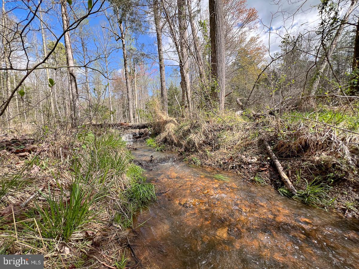 0 GILLIAM MILL RD, DILLWYN, Virginia 23936, ,Farm,For sale,0 GILLIAM MILL RD,VABH2000238 MLS # VABH2000238 0 GILLIAM MILL RD, DILLWYN, Virginia 23936, ,Farm,For sale,0 GILLIAM MILL RD,VABH2000238 MLS # VABH2000238