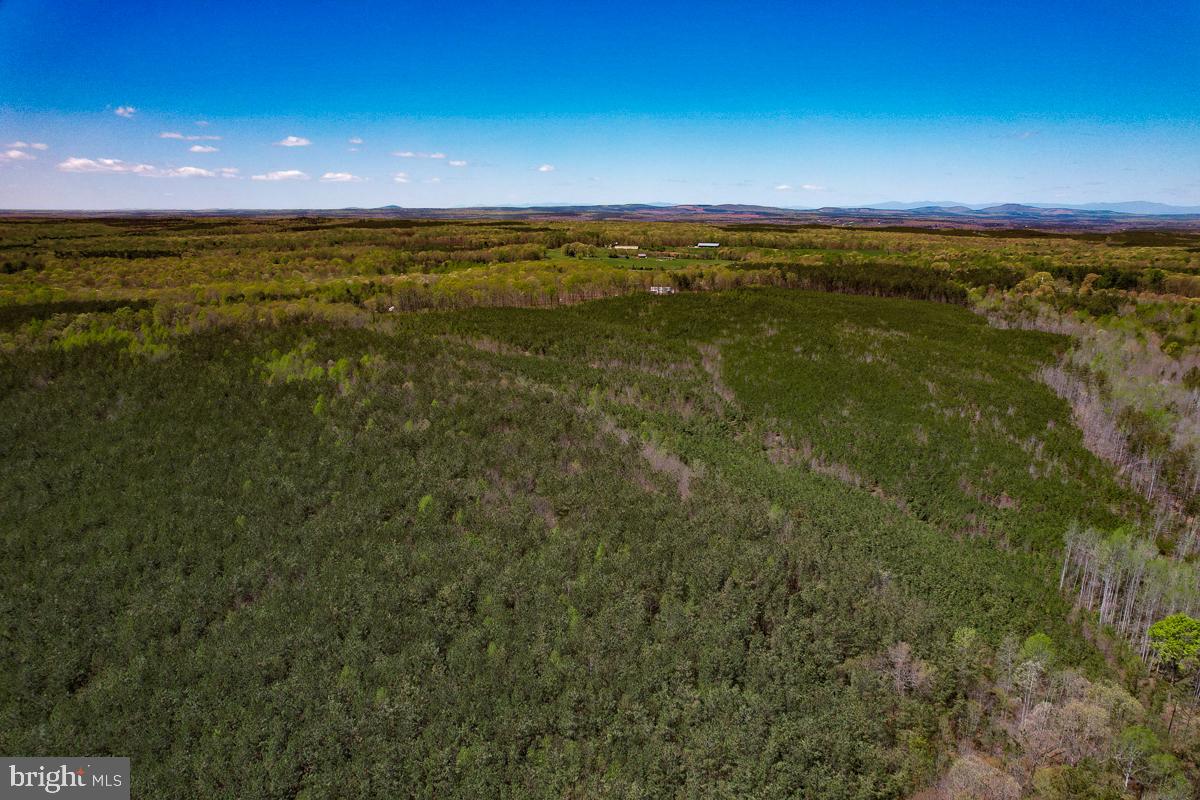 0 GILLIAM MILL RD, DILLWYN, Virginia 23936, ,Farm,For sale,0 GILLIAM MILL RD,VABH2000238 MLS # VABH2000238 0 GILLIAM MILL RD, DILLWYN, Virginia 23936, ,Farm,For sale,0 GILLIAM MILL RD,VABH2000238 MLS # VABH2000238