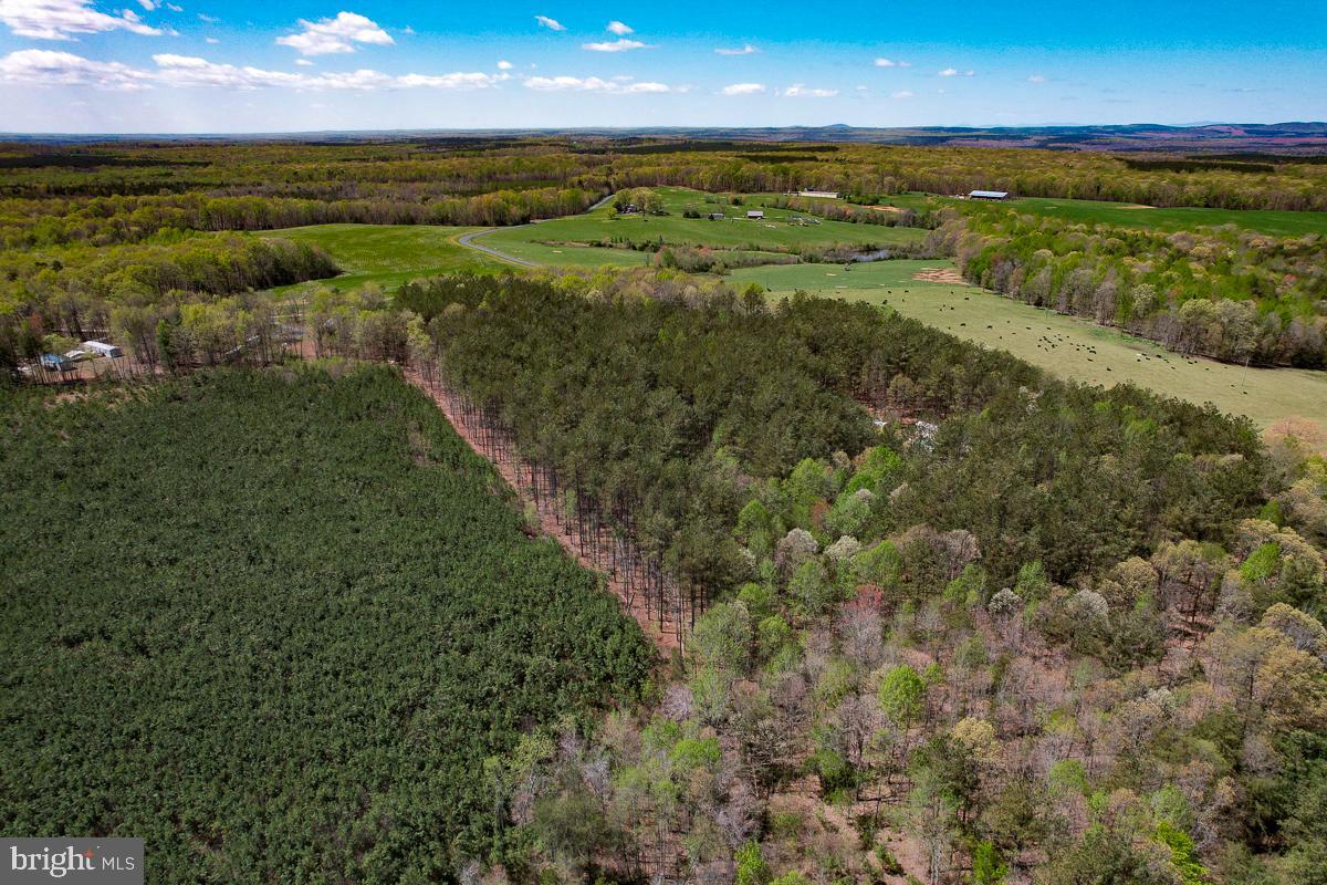 0 GILLIAM MILL RD, DILLWYN, Virginia 23936, ,Farm,For sale,0 GILLIAM MILL RD,VABH2000238 MLS # VABH2000238 0 GILLIAM MILL RD, DILLWYN, Virginia 23936, ,Farm,For sale,0 GILLIAM MILL RD,VABH2000238 MLS # VABH2000238