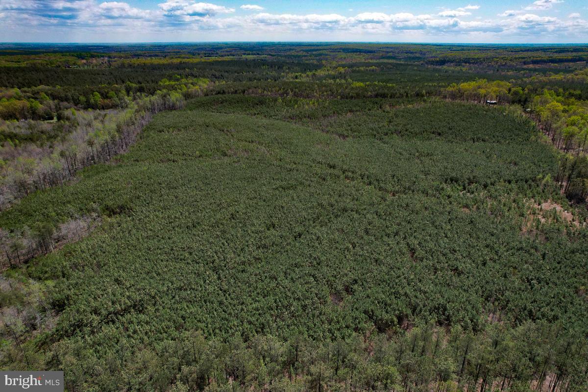 0 GILLIAM MILL RD, DILLWYN, Virginia 23936, ,Farm,For sale,0 GILLIAM MILL RD,VABH2000238 MLS # VABH2000238 0 GILLIAM MILL RD, DILLWYN, Virginia 23936, ,Farm,For sale,0 GILLIAM MILL RD,VABH2000238 MLS # VABH2000238