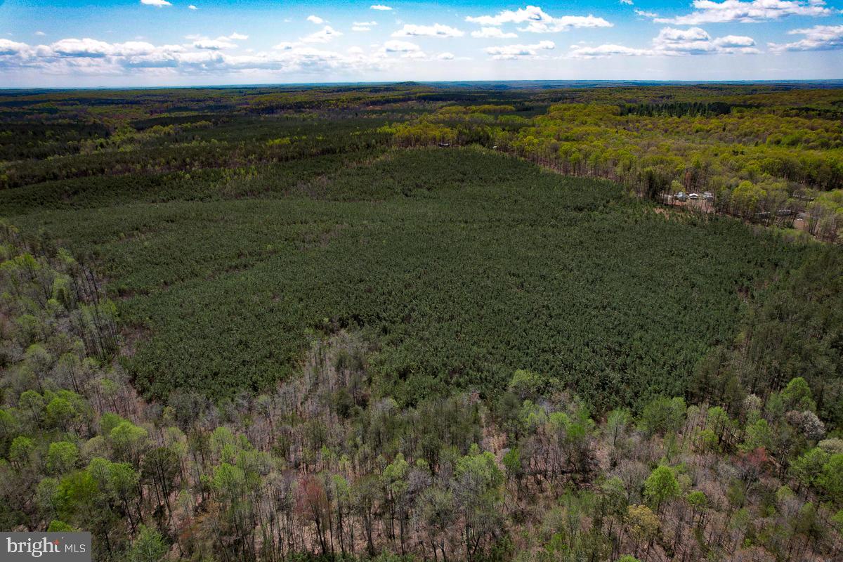 0 GILLIAM MILL RD, DILLWYN, Virginia 23936, ,Farm,For sale,0 GILLIAM MILL RD,VABH2000238 MLS # VABH2000238 0 GILLIAM MILL RD, DILLWYN, Virginia 23936, ,Farm,For sale,0 GILLIAM MILL RD,VABH2000238 MLS # VABH2000238