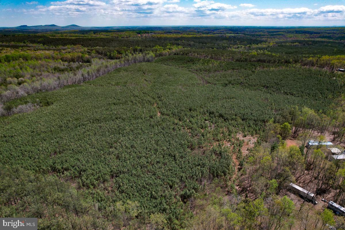 0 GILLIAM MILL RD, DILLWYN, Virginia 23936, ,Farm,For sale,0 GILLIAM MILL RD,VABH2000238 MLS # VABH2000238 0 GILLIAM MILL RD, DILLWYN, Virginia 23936, ,Farm,For sale,0 GILLIAM MILL RD,VABH2000238 MLS # VABH2000238