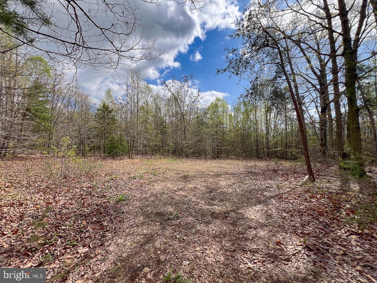 0 GILLIAM MILL RD, DILLWYN, Virginia 23936, ,Farm,For sale,0 GILLIAM MILL RD,VABH2000238 MLS # VABH2000238 0 GILLIAM MILL RD, DILLWYN, Virginia 23936, ,Farm,For sale,0 GILLIAM MILL RD,VABH2000238 MLS # VABH2000238