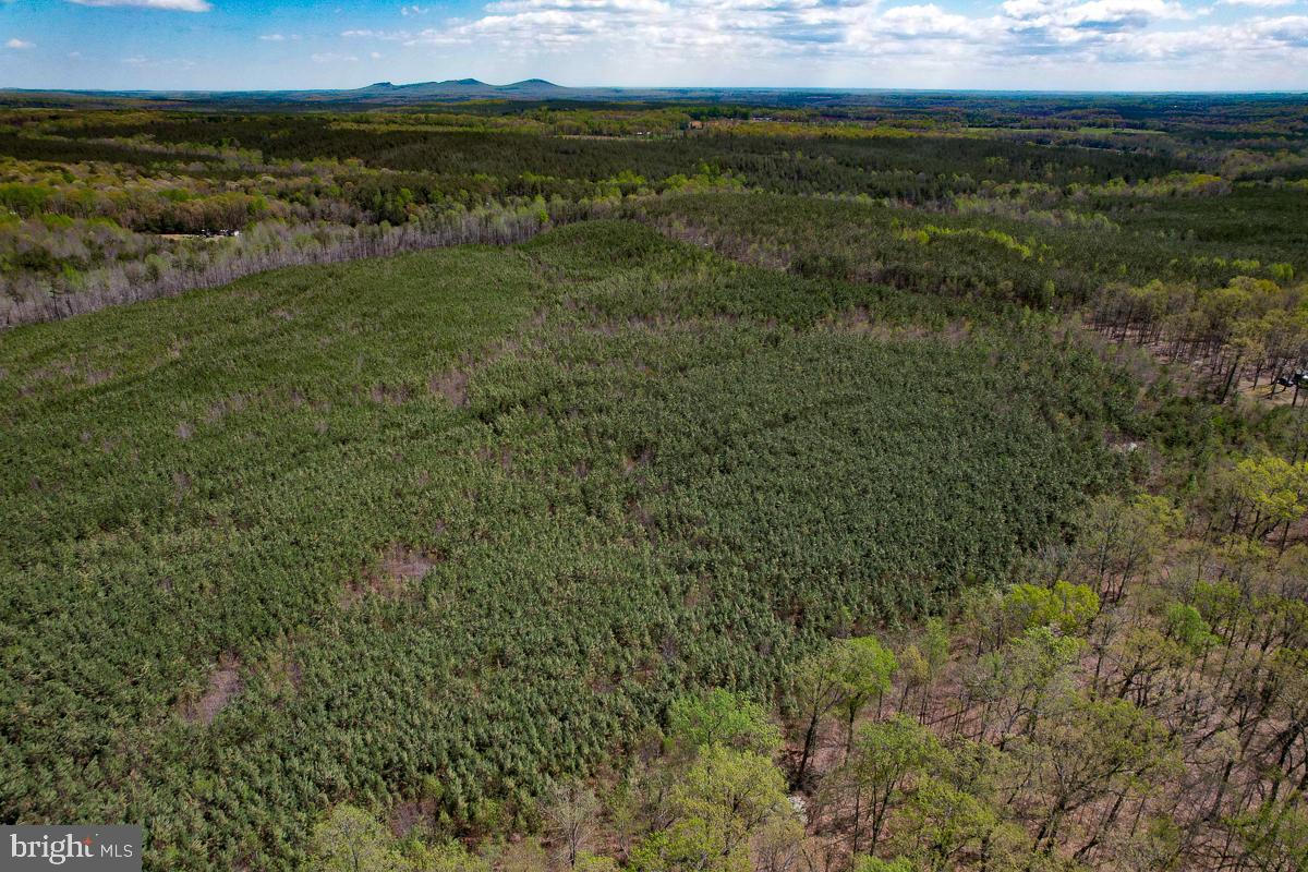 0 GILLIAM MILL RD, DILLWYN, Virginia 23936, ,Farm,For sale,0 GILLIAM MILL RD,VABH2000238 MLS # VABH2000238 0 GILLIAM MILL RD, DILLWYN, Virginia 23936, ,Farm,For sale,0 GILLIAM MILL RD,VABH2000238 MLS # VABH2000238