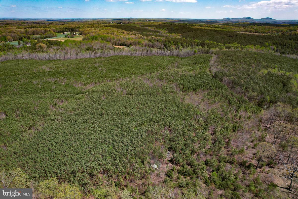 0 GILLIAM MILL RD, DILLWYN, Virginia 23936, ,Farm,For sale,0 GILLIAM MILL RD,VABH2000238 MLS # VABH2000238 0 GILLIAM MILL RD, DILLWYN, Virginia 23936, ,Farm,For sale,0 GILLIAM MILL RD,VABH2000238 MLS # VABH2000238