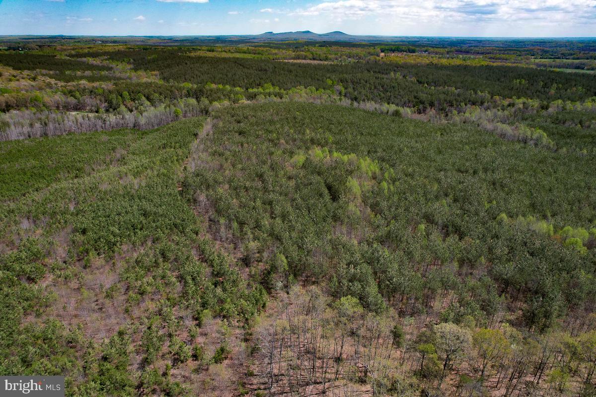 0 GILLIAM MILL RD, DILLWYN, Virginia 23936, ,Farm,For sale,0 GILLIAM MILL RD,VABH2000238 MLS # VABH2000238 0 GILLIAM MILL RD, DILLWYN, Virginia 23936, ,Farm,For sale,0 GILLIAM MILL RD,VABH2000238 MLS # VABH2000238