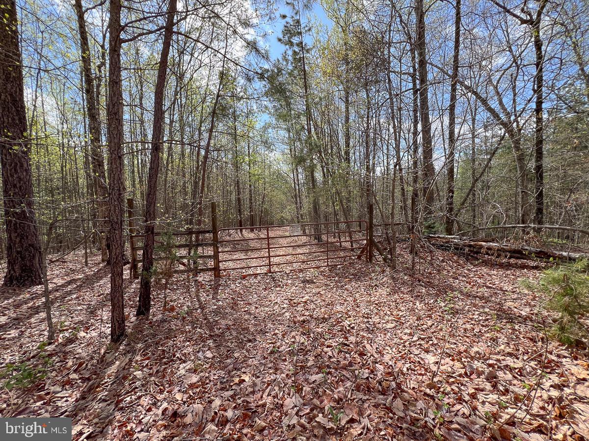 0 GILLIAM MILL RD, DILLWYN, Virginia 23936, ,Farm,For sale,0 GILLIAM MILL RD,VABH2000238 MLS # VABH2000238 0 GILLIAM MILL RD, DILLWYN, Virginia 23936, ,Farm,For sale,0 GILLIAM MILL RD,VABH2000238 MLS # VABH2000238