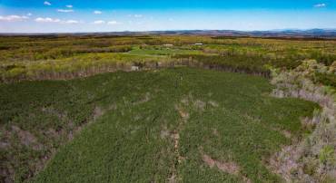 0 GILLIAM MILL RD, DILLWYN, Virginia 23936, ,Farm,For sale,0 GILLIAM MILL RD,VABH2000238 MLS # VABH2000238