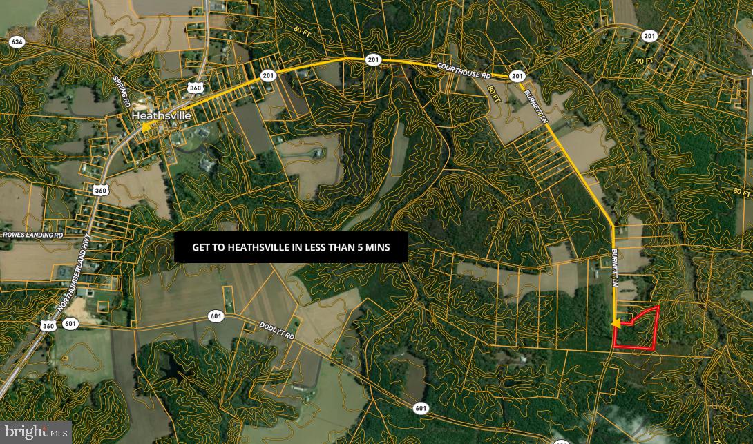 00 BURNETT LN, HEATHSVILLE, Virginia 22473, ,Land,For sale,00 BURNETT LN,VANV2001808 MLS # VANV2001808