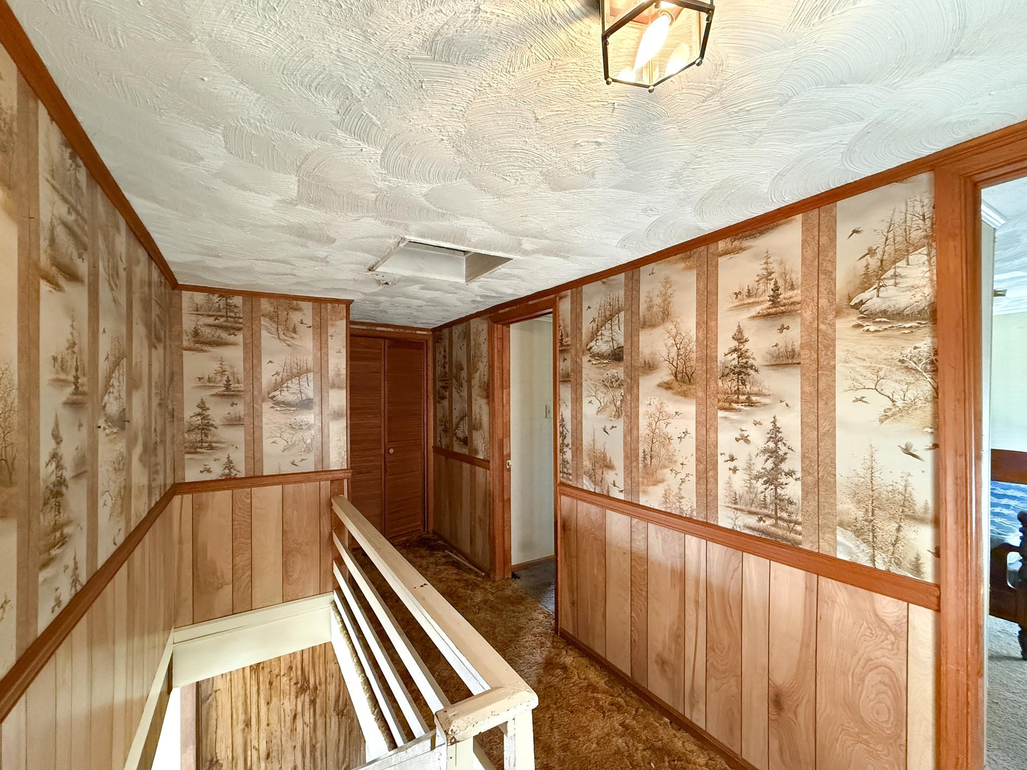 2163 RAPHINE RD, RAPHINE, Virginia 24472, 3 Bedrooms Bedrooms, ,1 BathroomBathrooms,Residential,2163 RAPHINE RD,667866 MLS # 667866