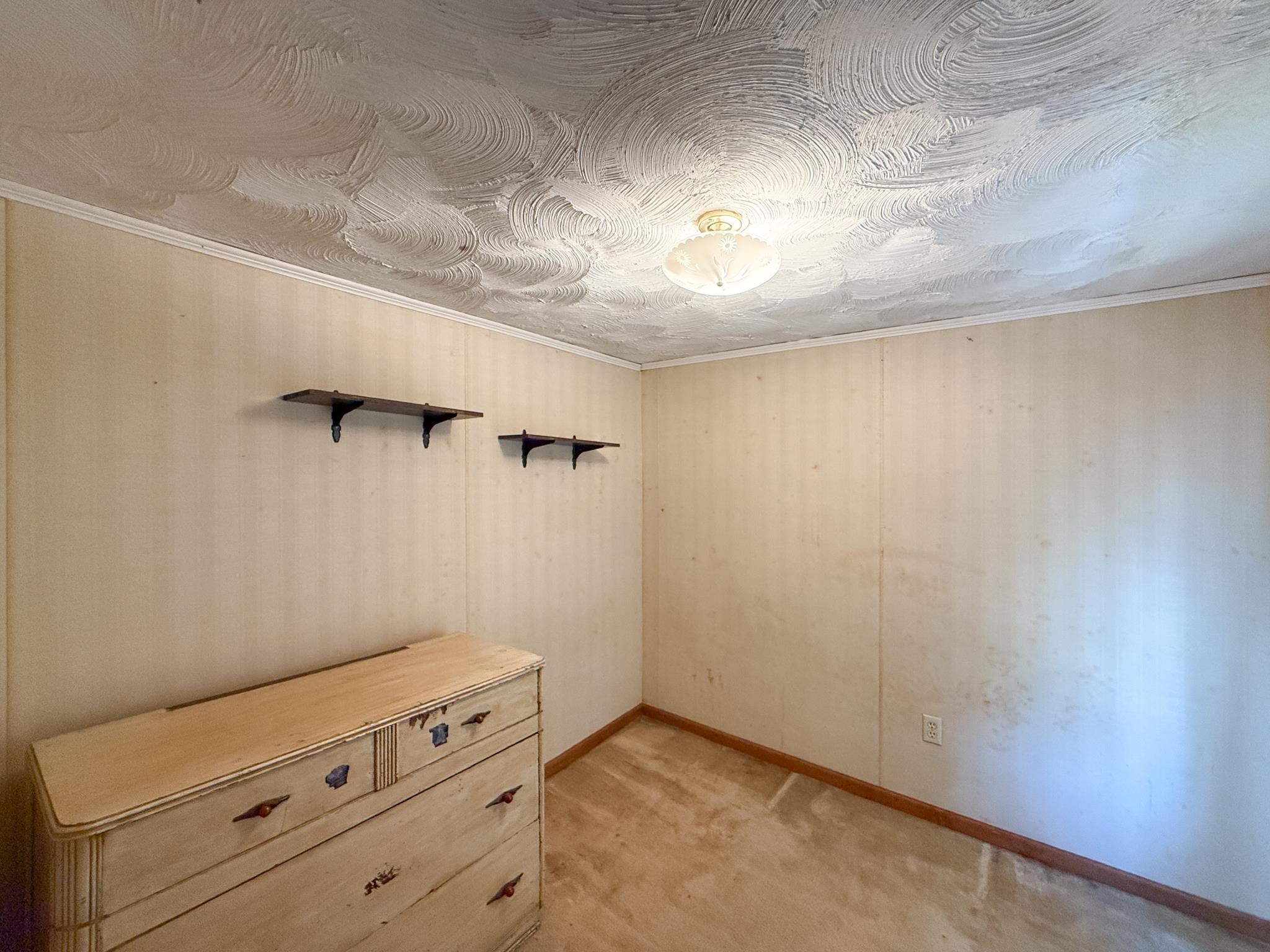 2163 RAPHINE RD, RAPHINE, Virginia 24472, 3 Bedrooms Bedrooms, ,1 BathroomBathrooms,Residential,2163 RAPHINE RD,667866 MLS # 667866