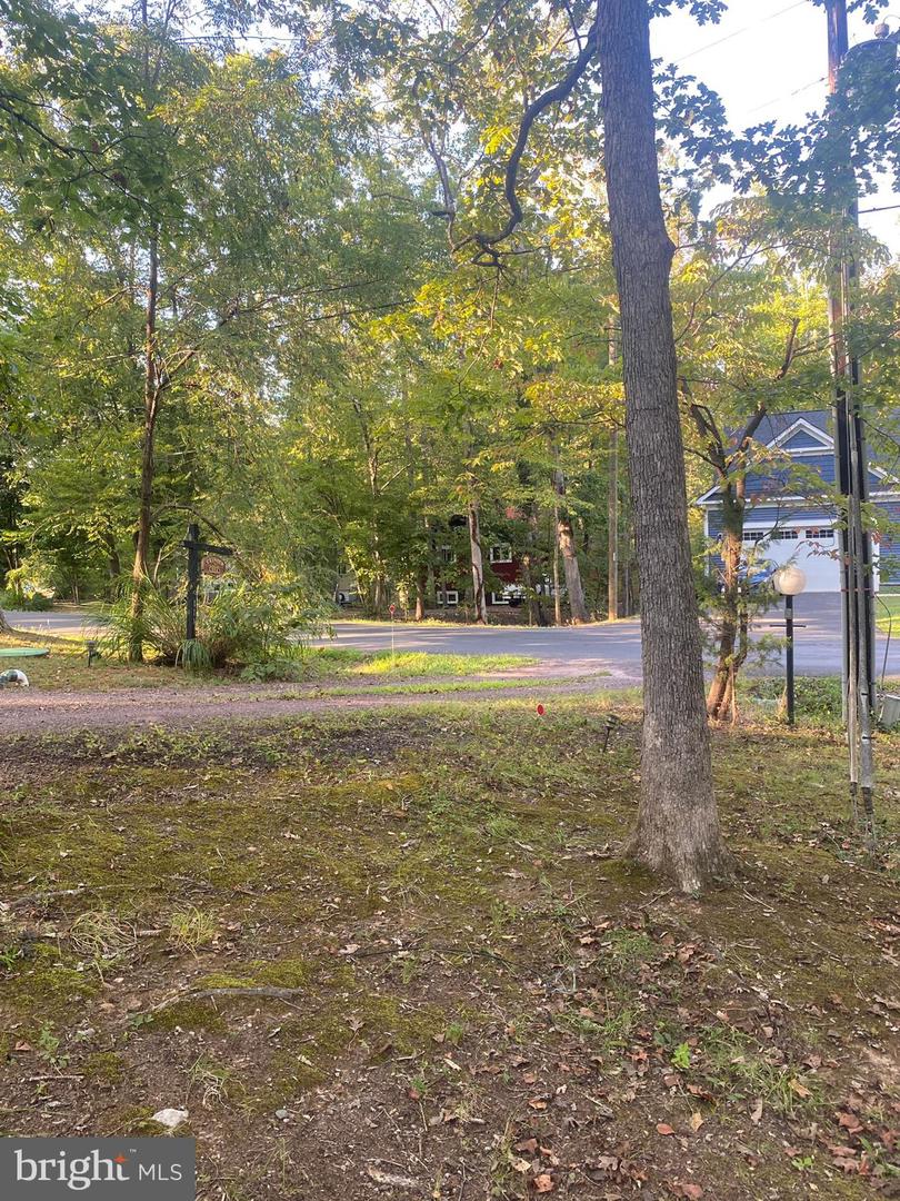 111 BIRCHSIDE, LOCUST GROVE, Virginia 22508, 3 Bedrooms Bedrooms, 6 Rooms Rooms,3 BathroomsBathrooms,Residential,For sale,111 BIRCHSIDE,VAOR2012428 MLS # VAOR2012428